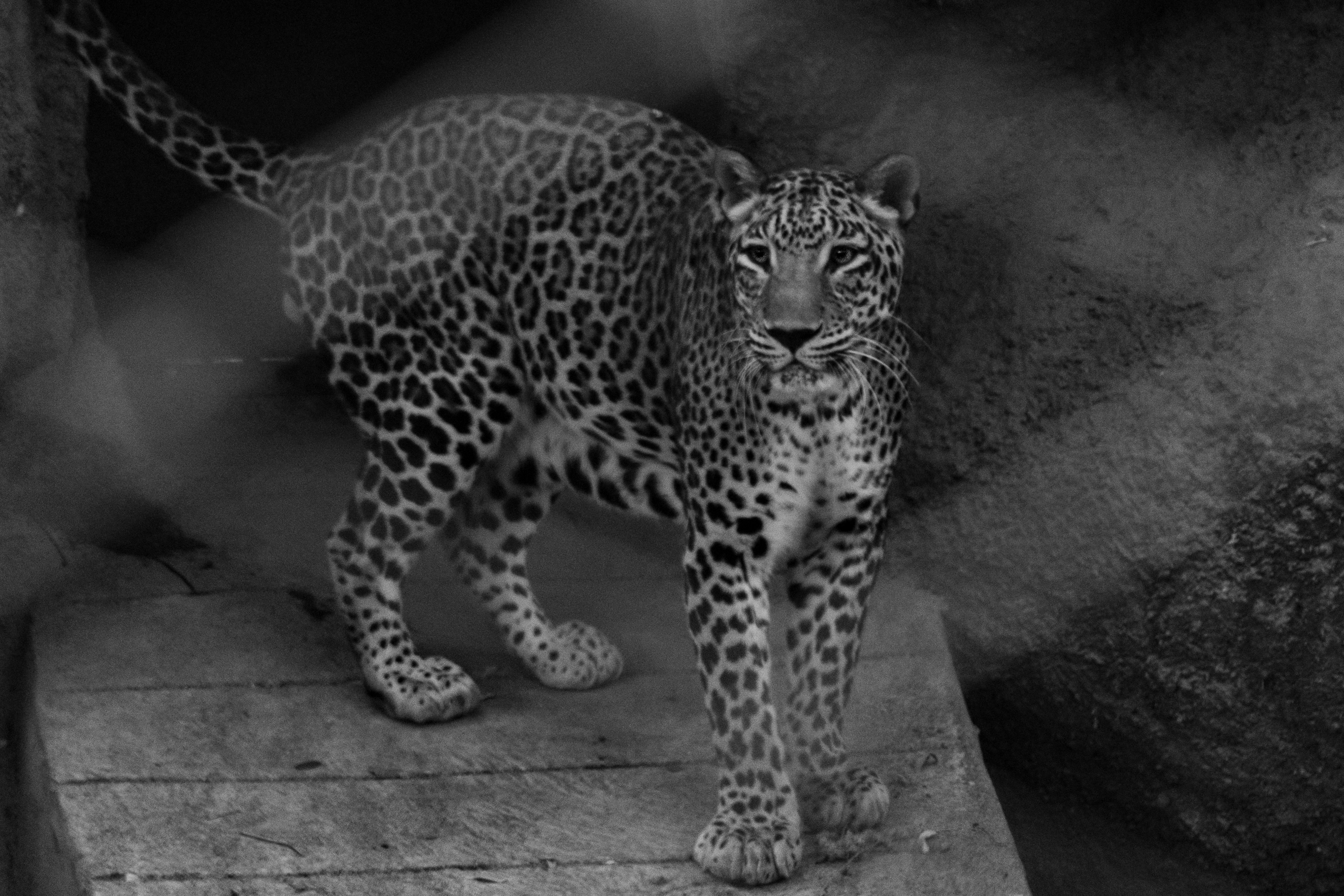 Photo by suryadoingstuff