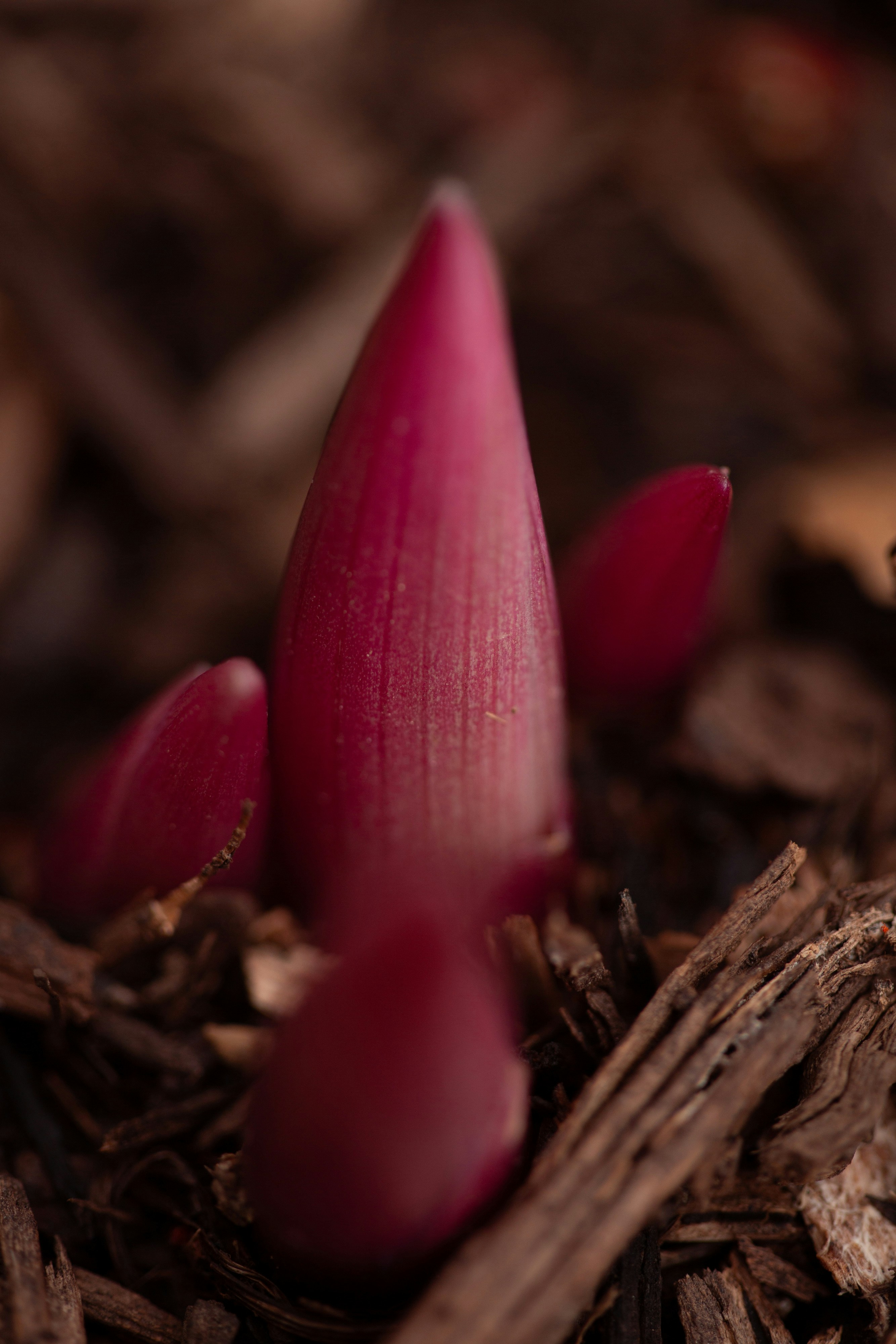 Why Adaptive Materialization Wins in 2026: Advanced Strategies for Hybrid Workloads