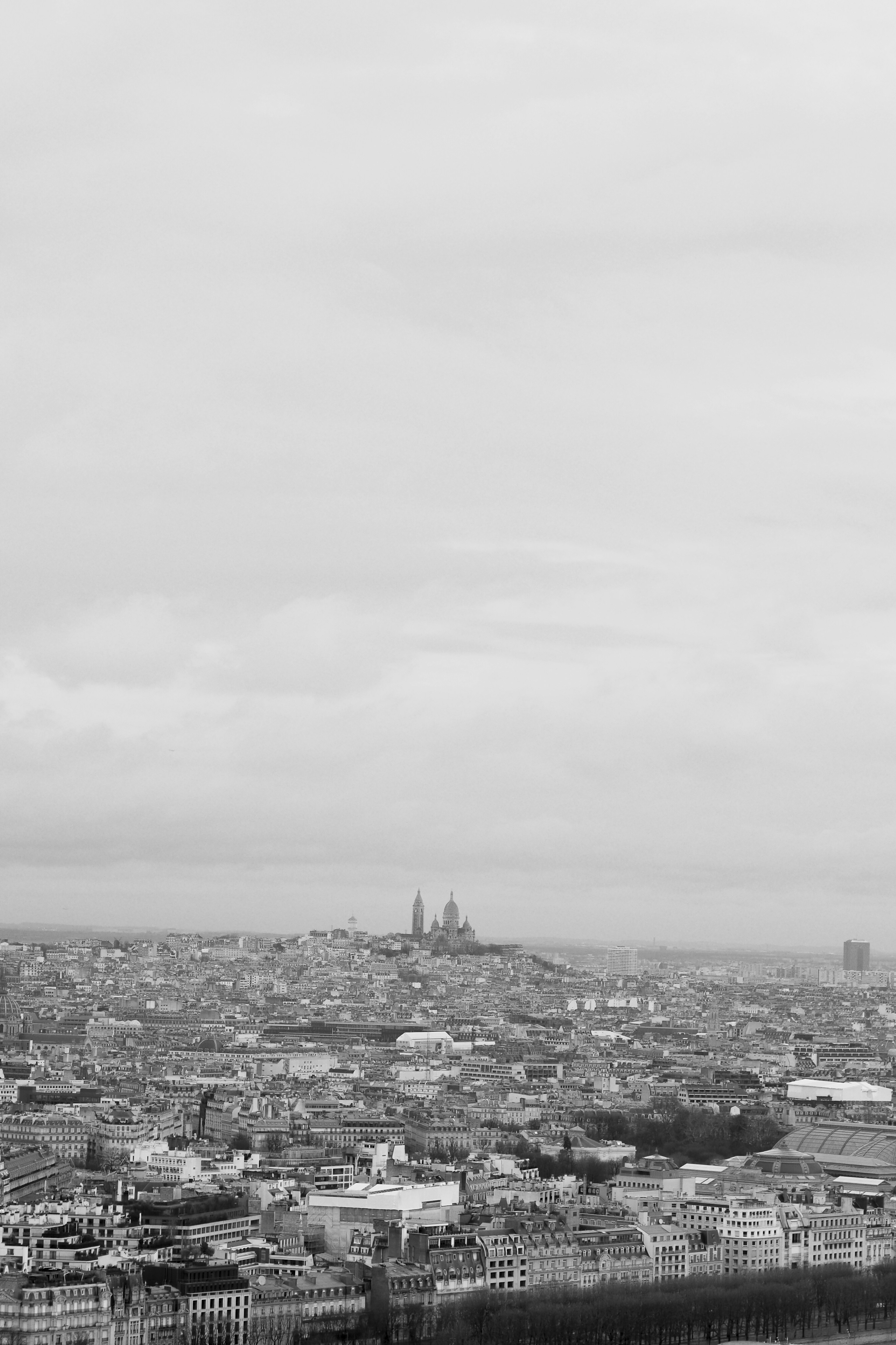 Photo by laurachouette