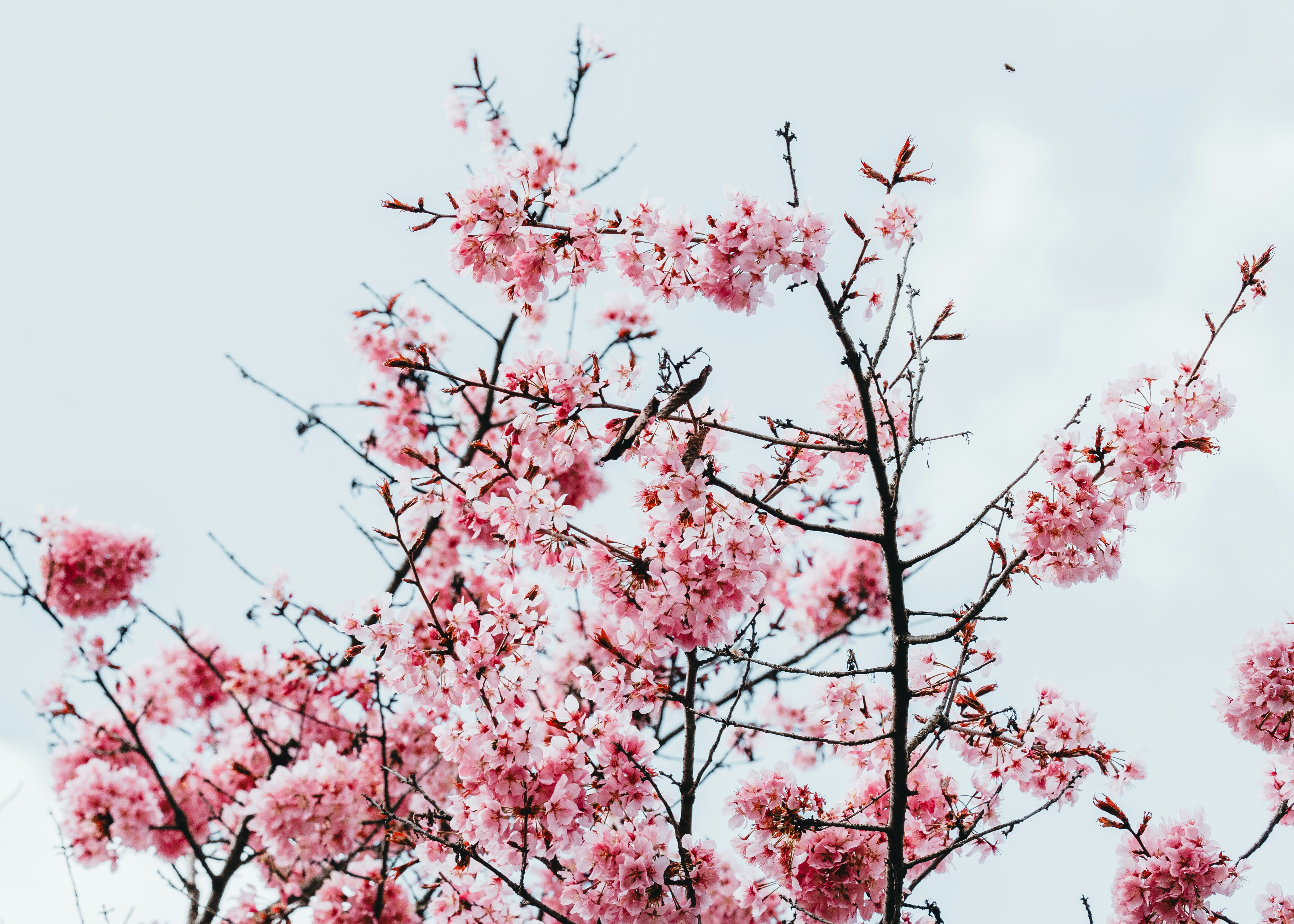 Photo by masoodaslami