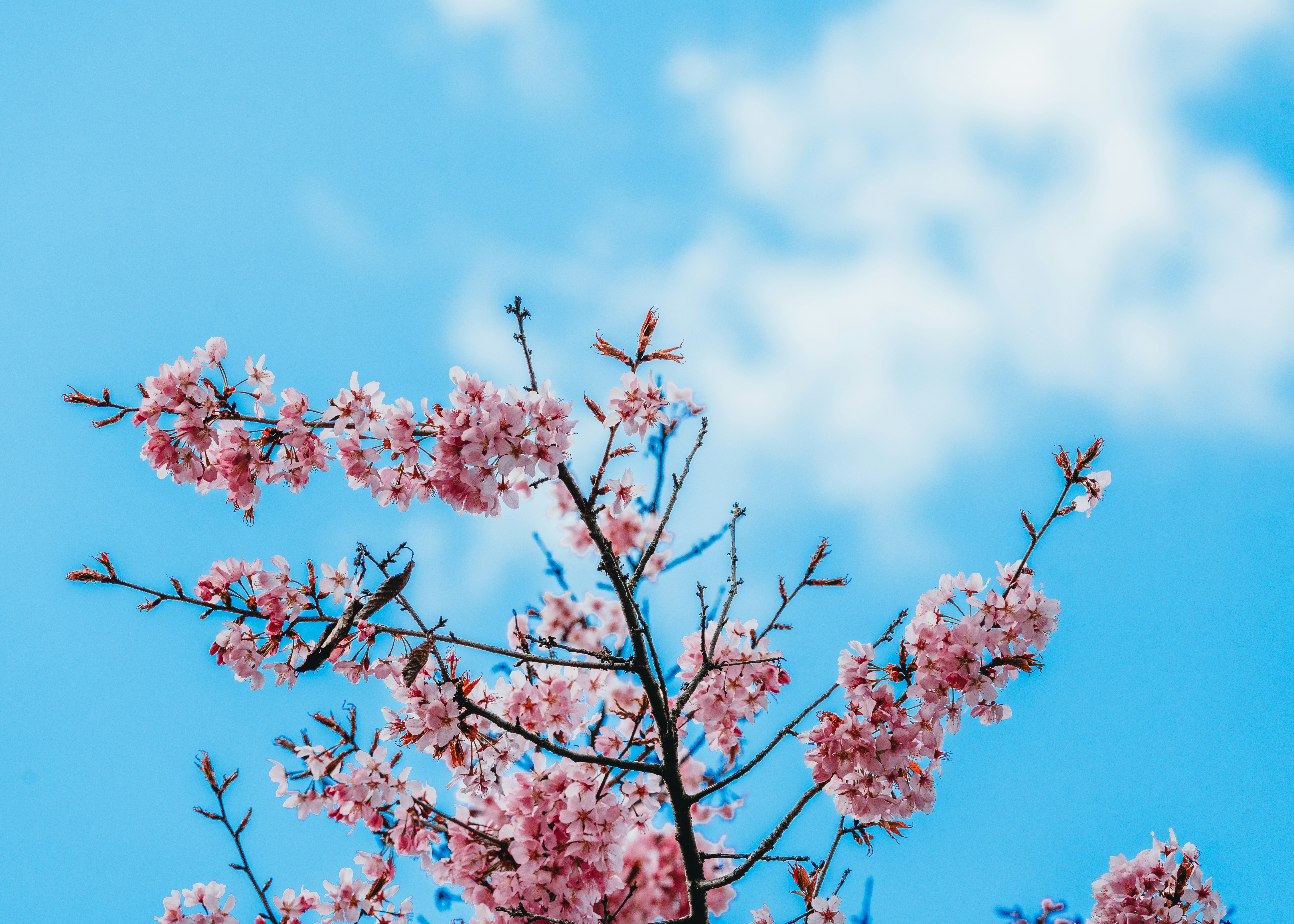 Photo by masoodaslami