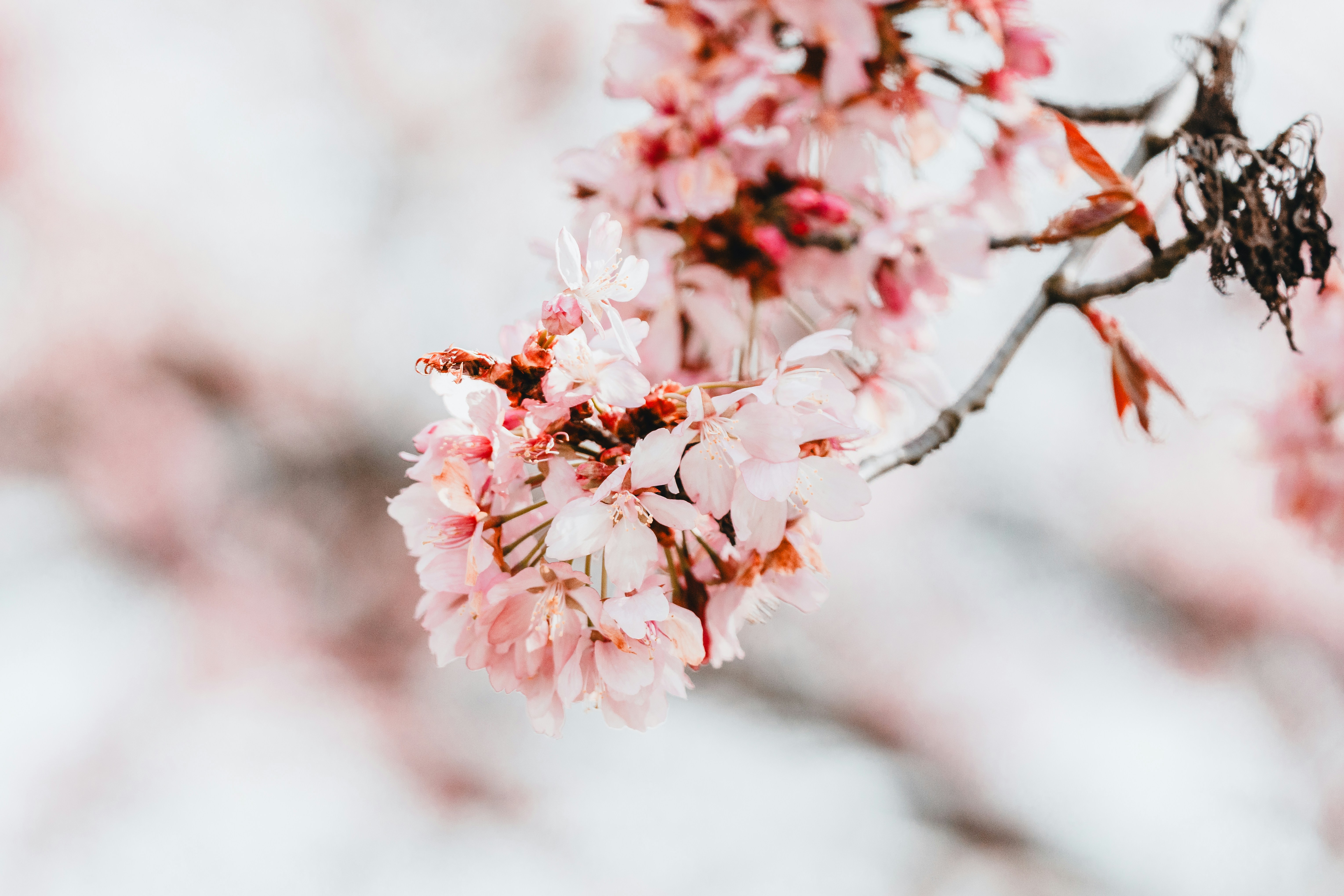 Photo by masoodaslami