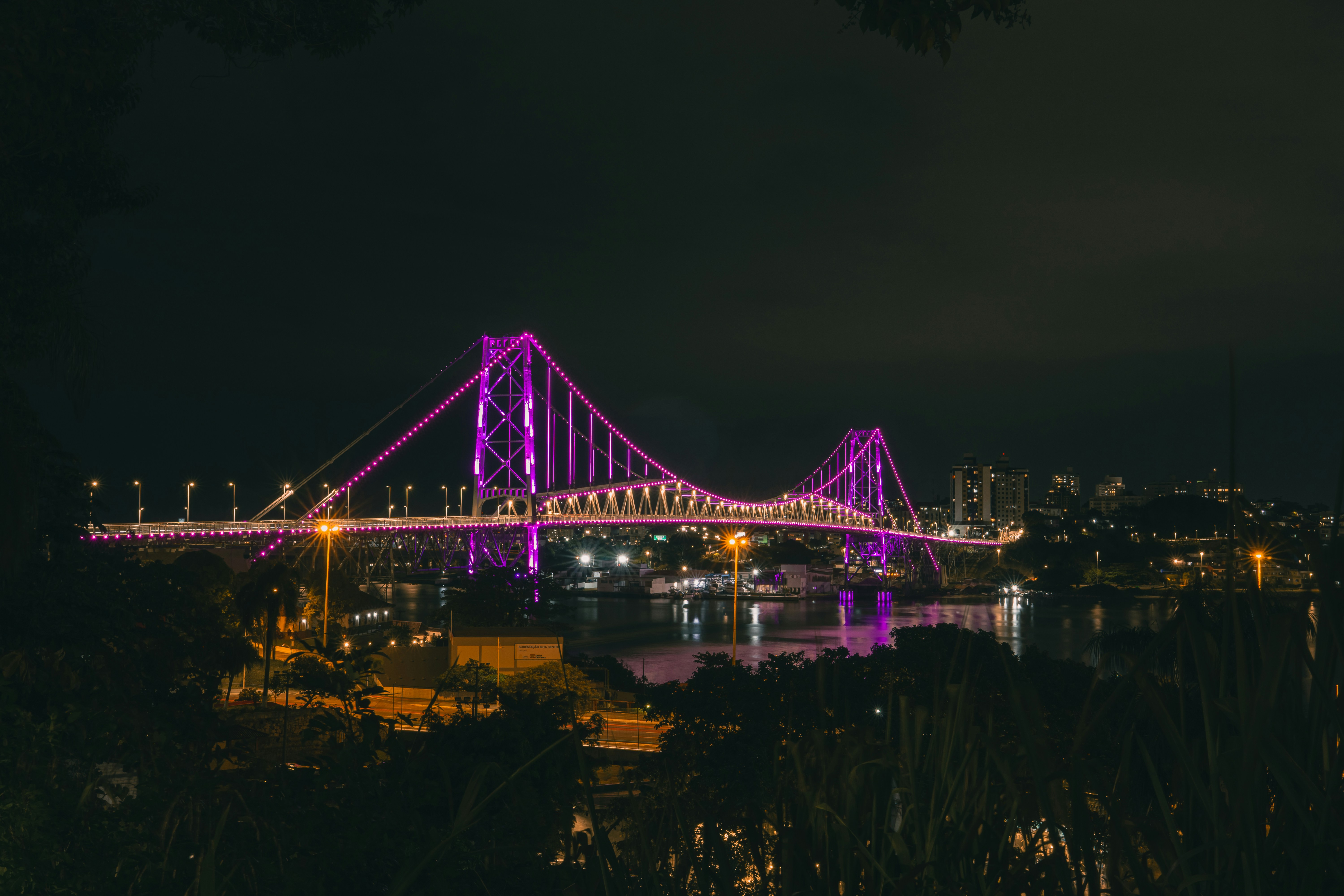 A purple-lit bridge shines brightly at night.