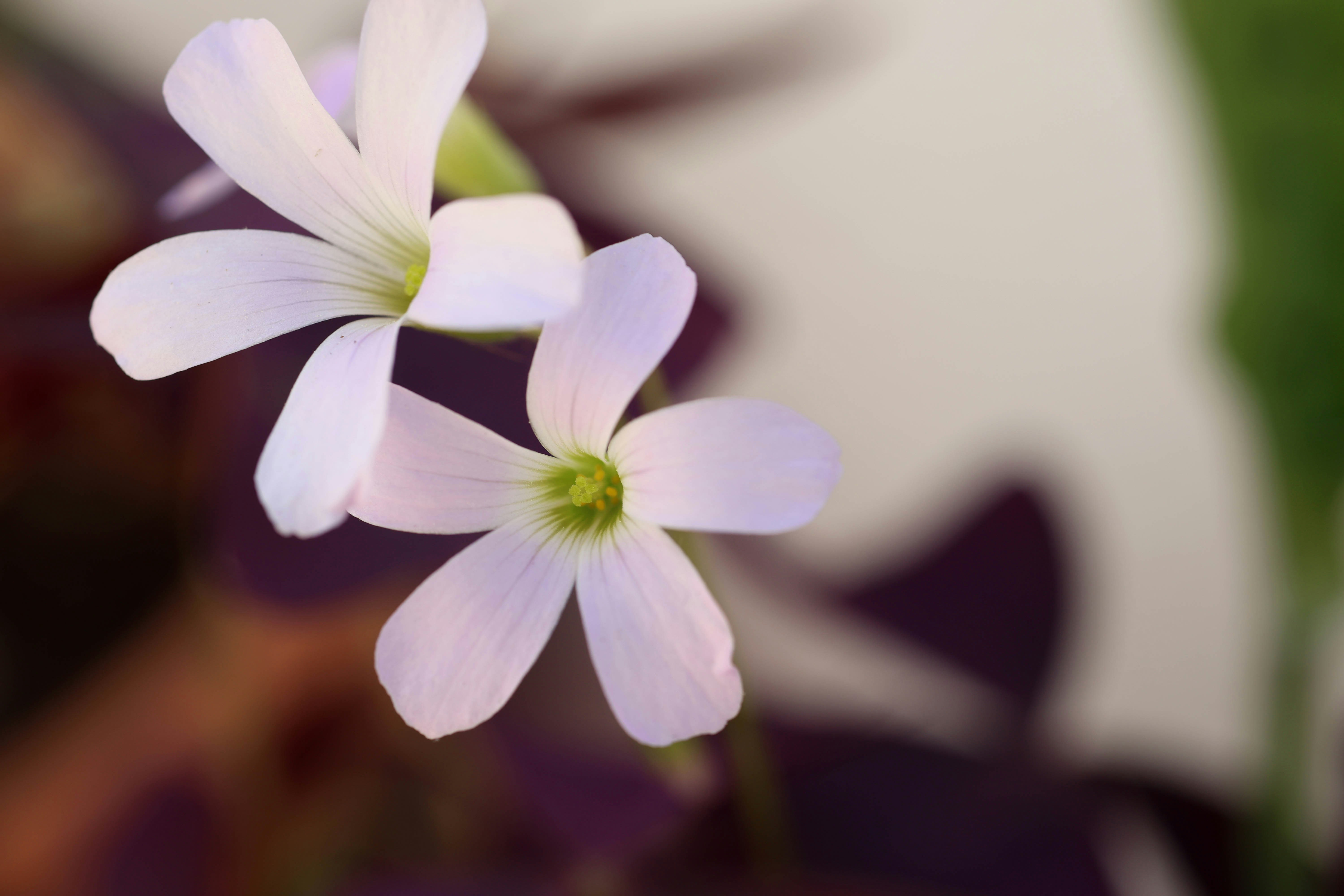 Photo by vero_photoinstant