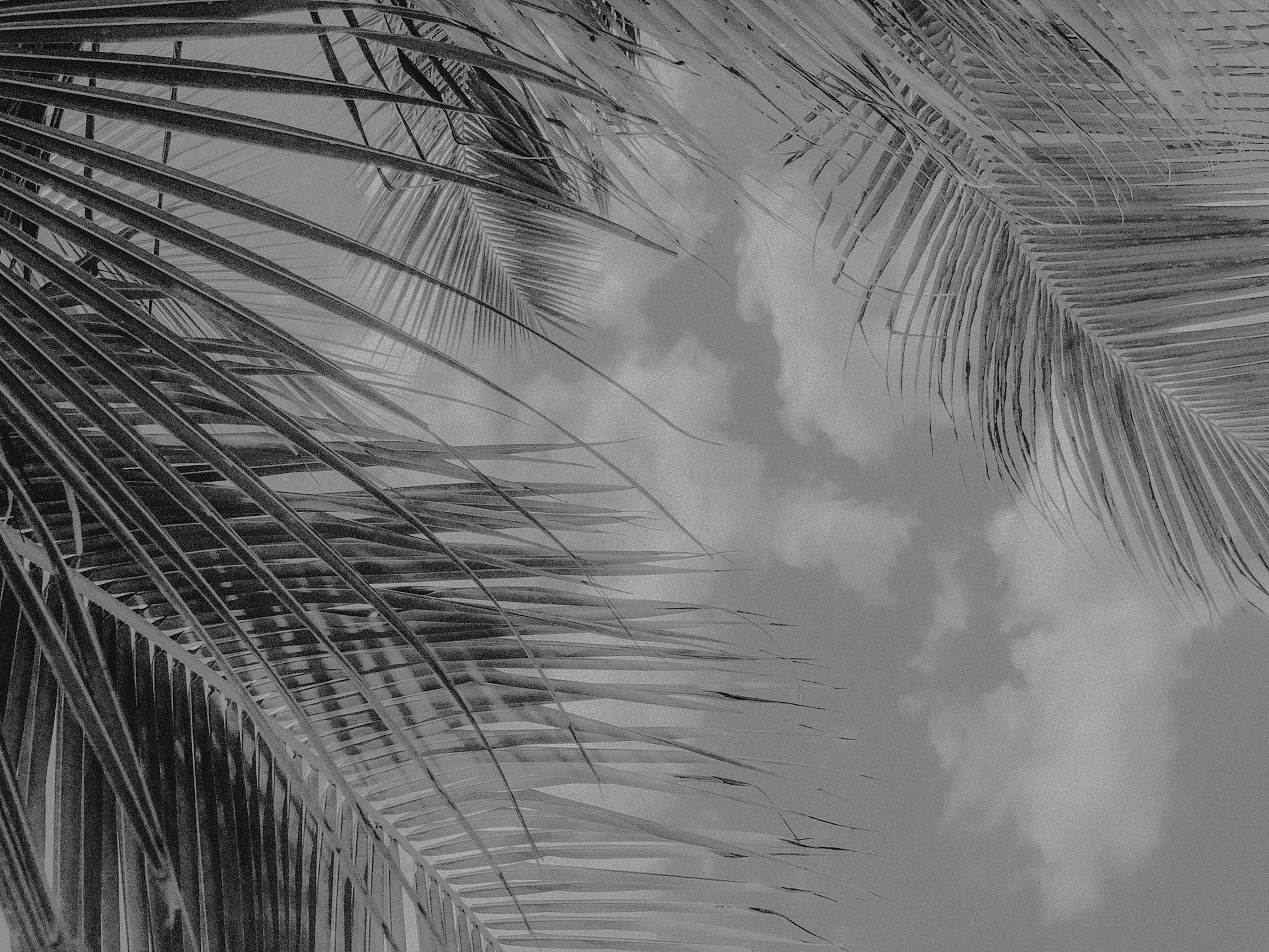 Photo by gnarlyninetyfour