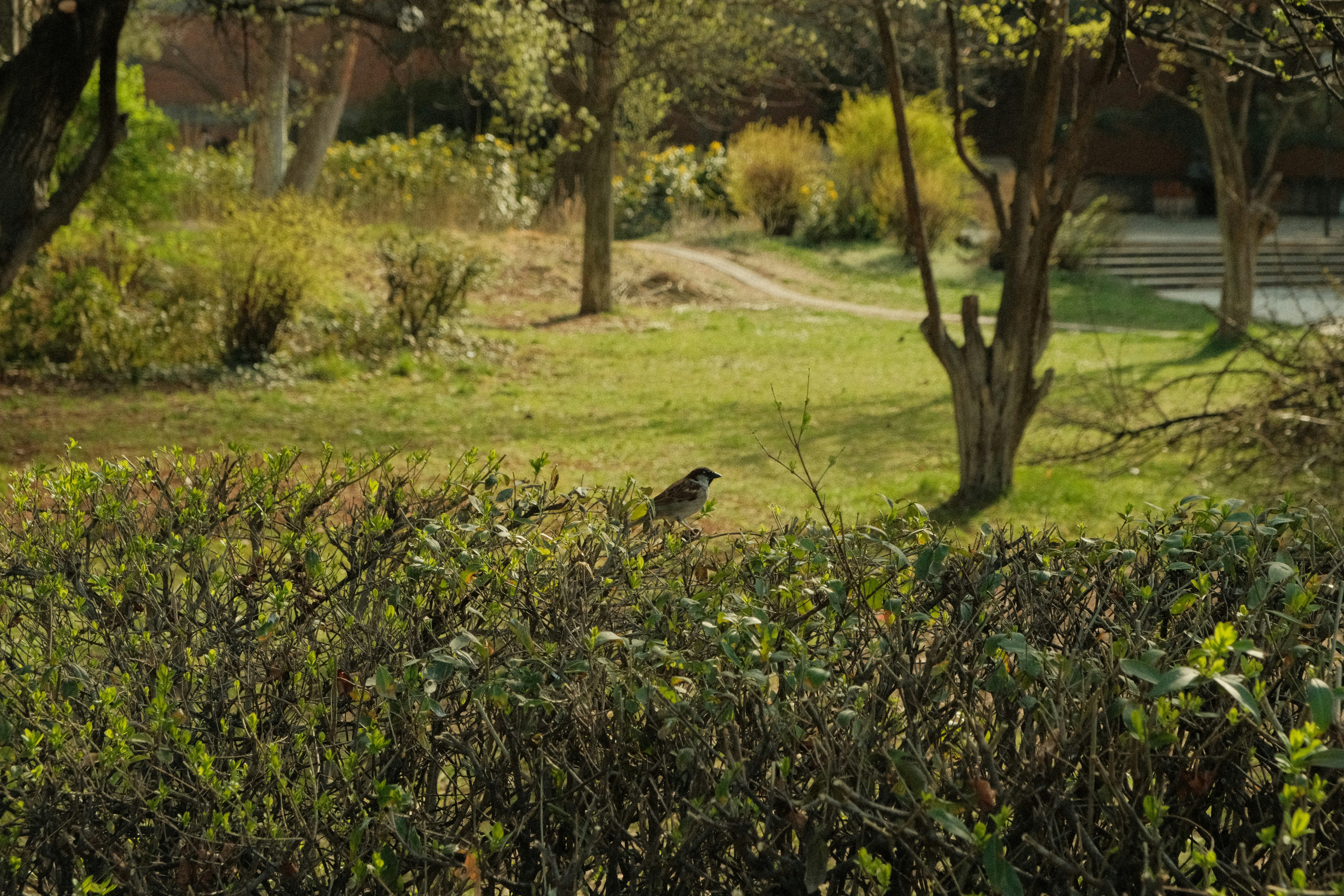 Photo by ismailefetop