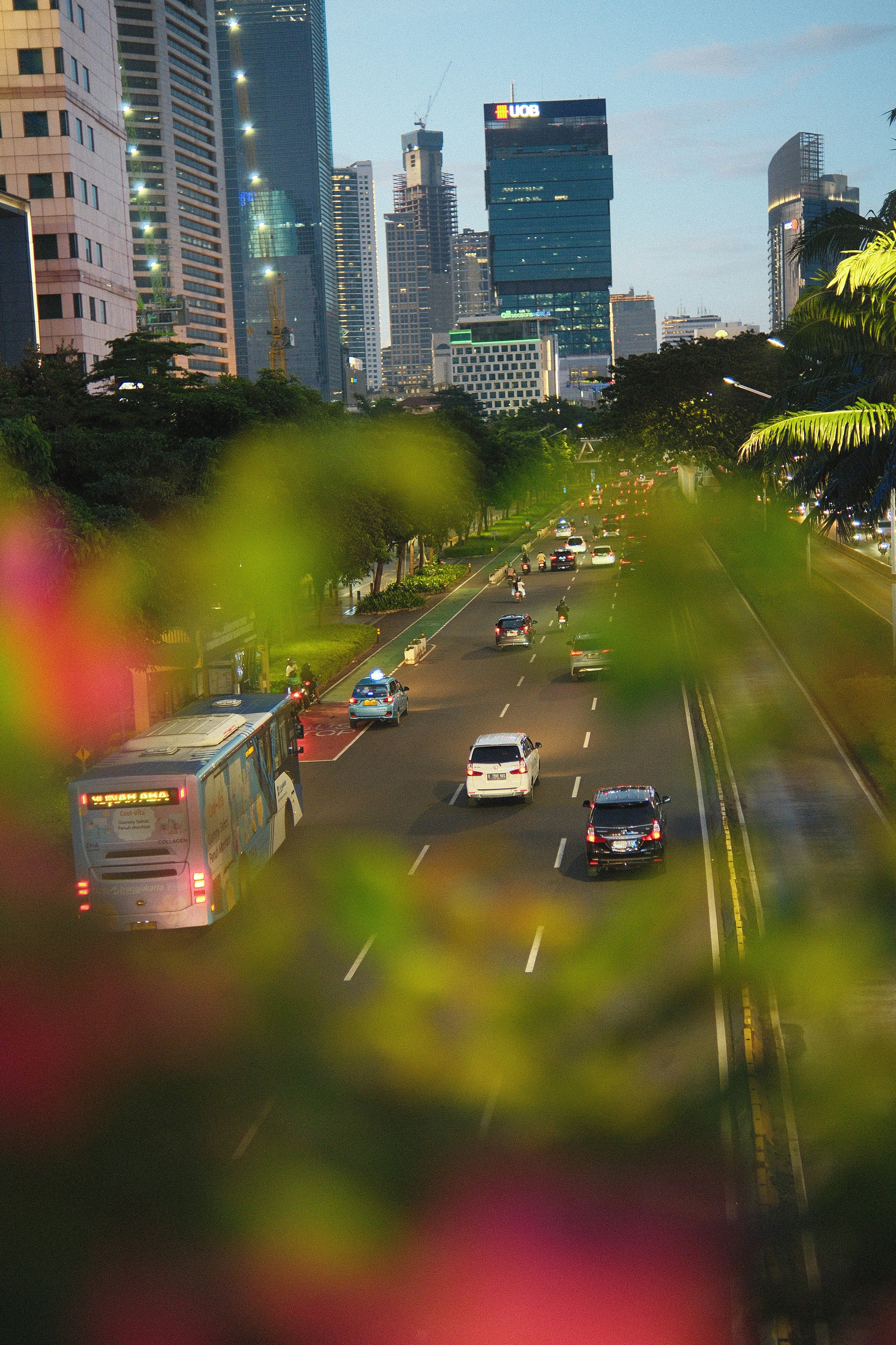 Photo by valentinasaputri