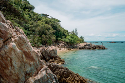 Rocky coast meets turquoise water and lush greenery.