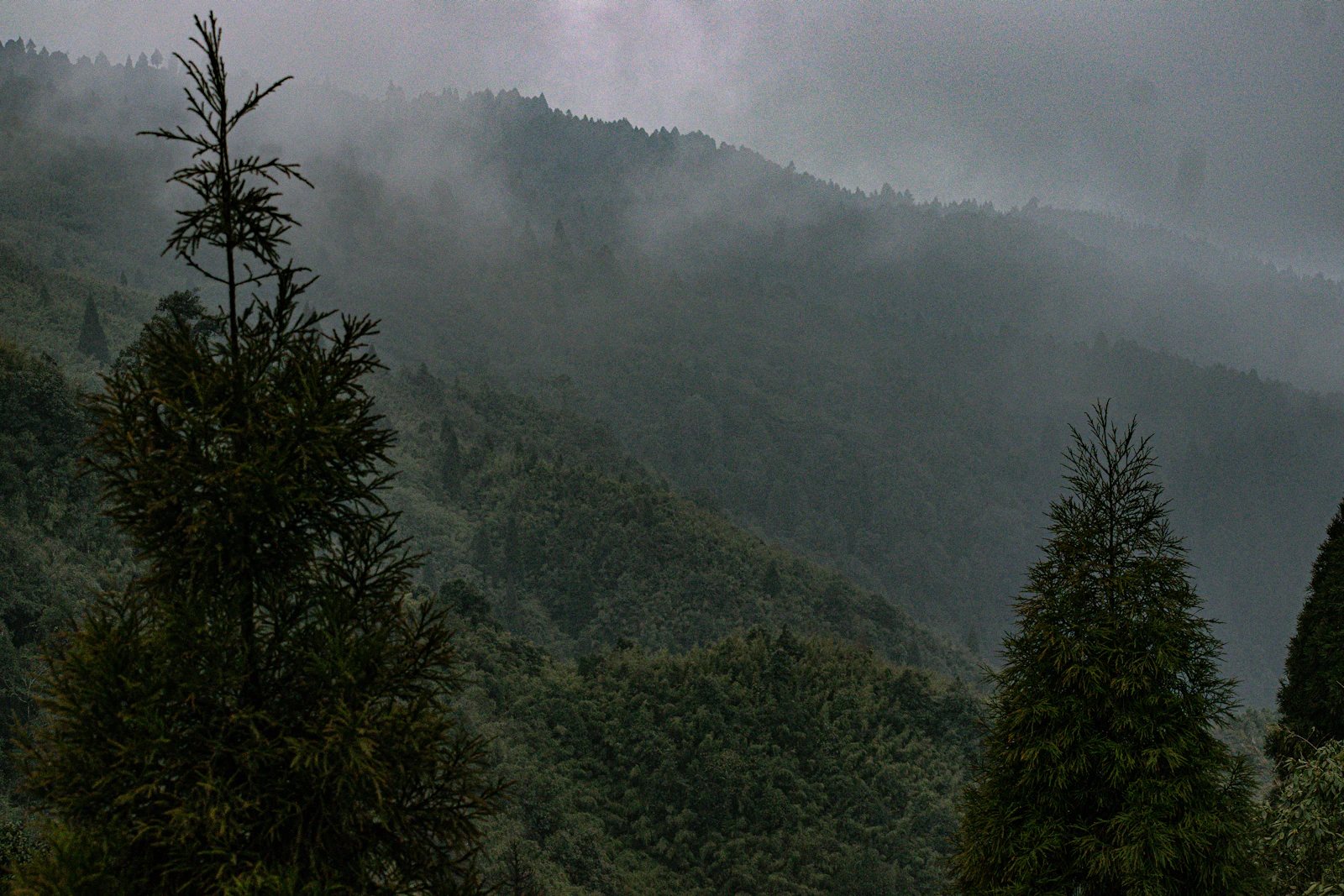Le silence des cimes