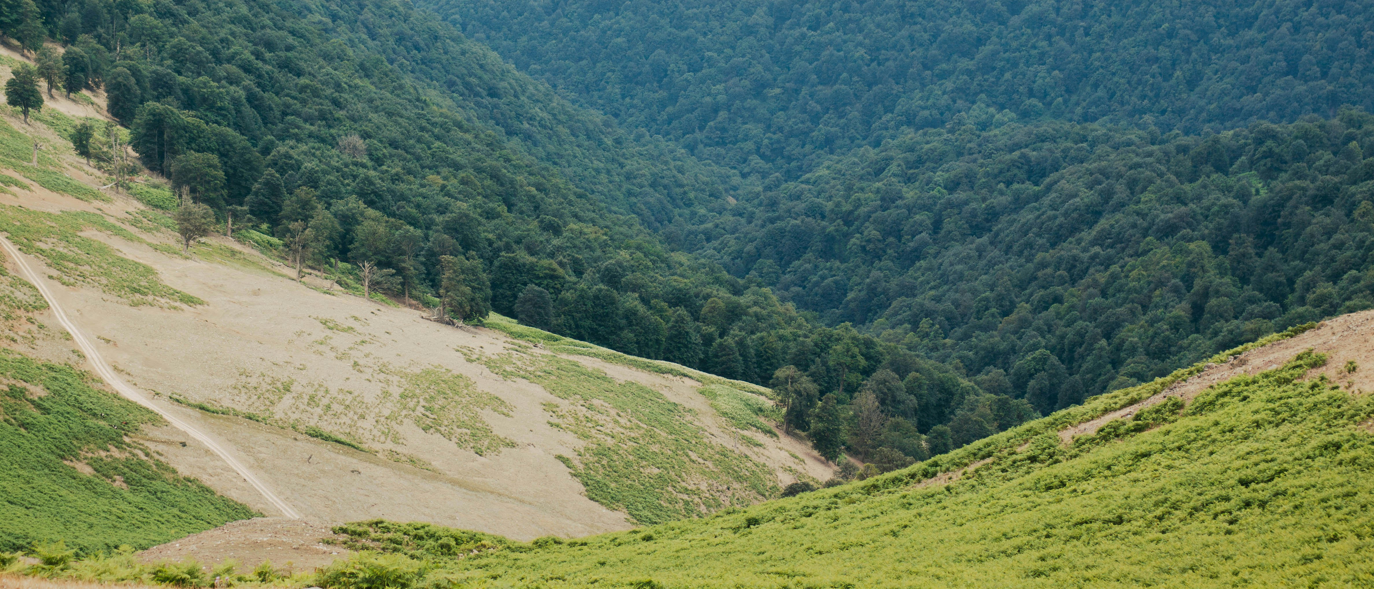 Photo by hossein8728