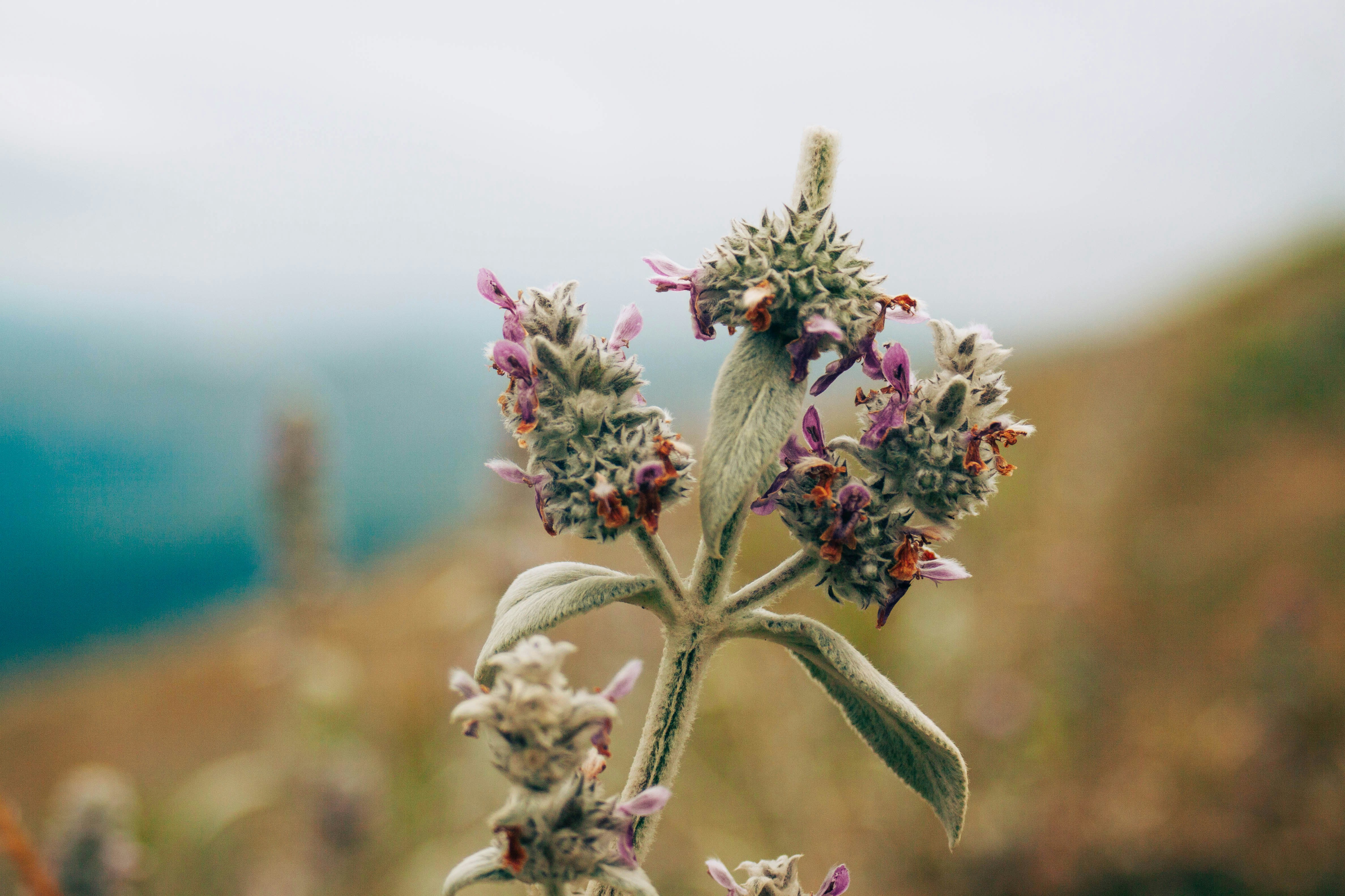 Photo by hossein8728