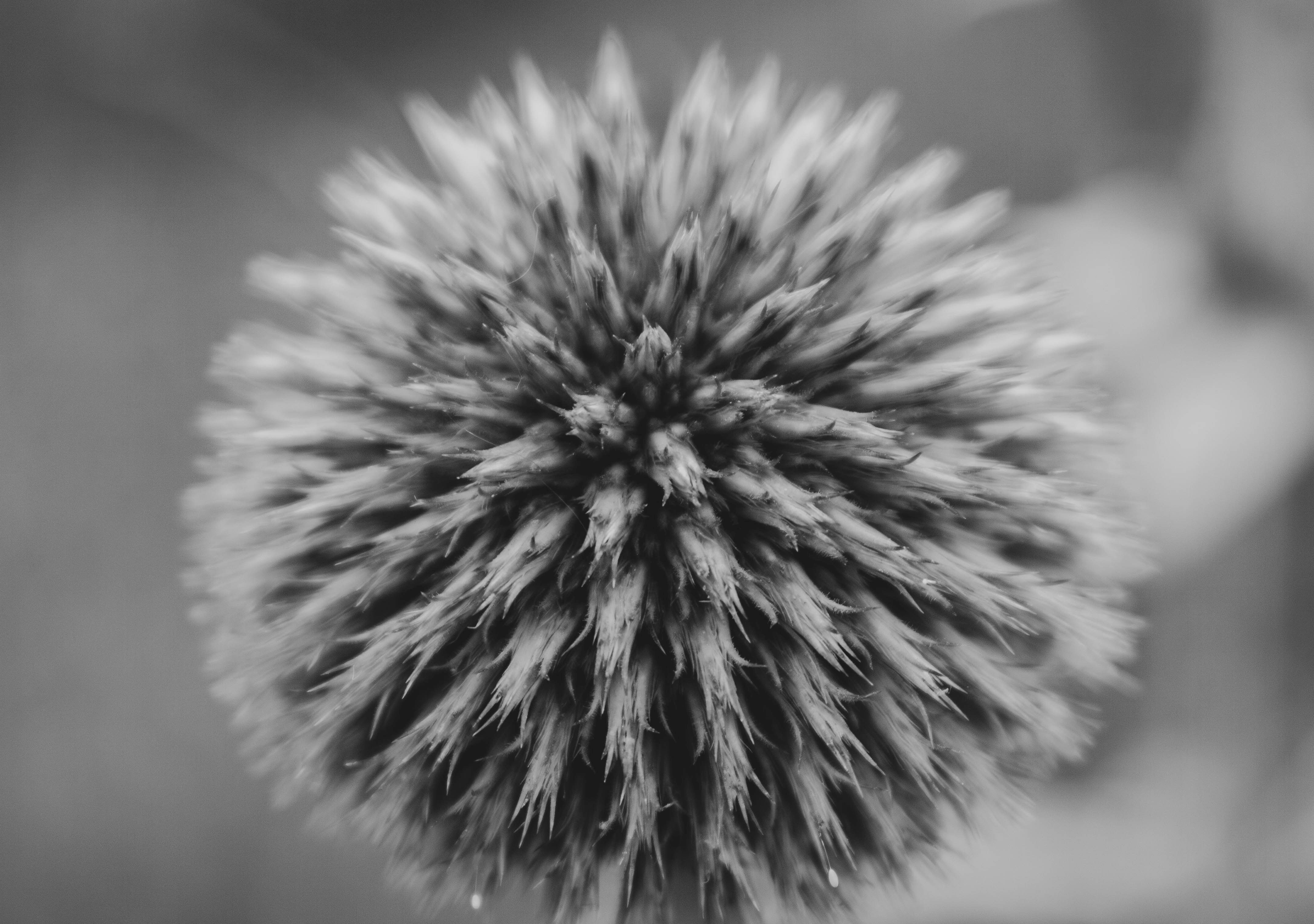 Photo by hossein8728