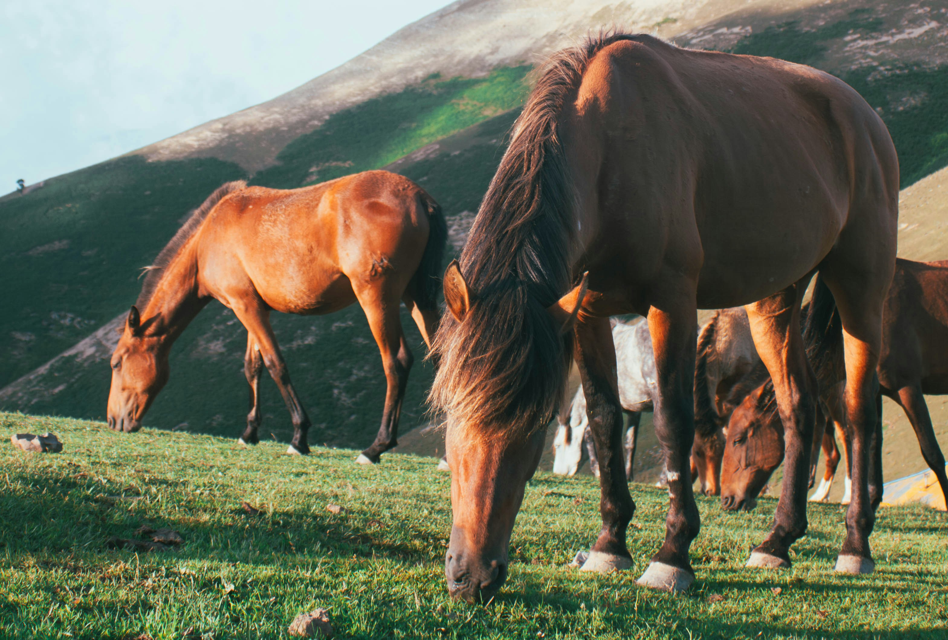 Photo by hossein8728