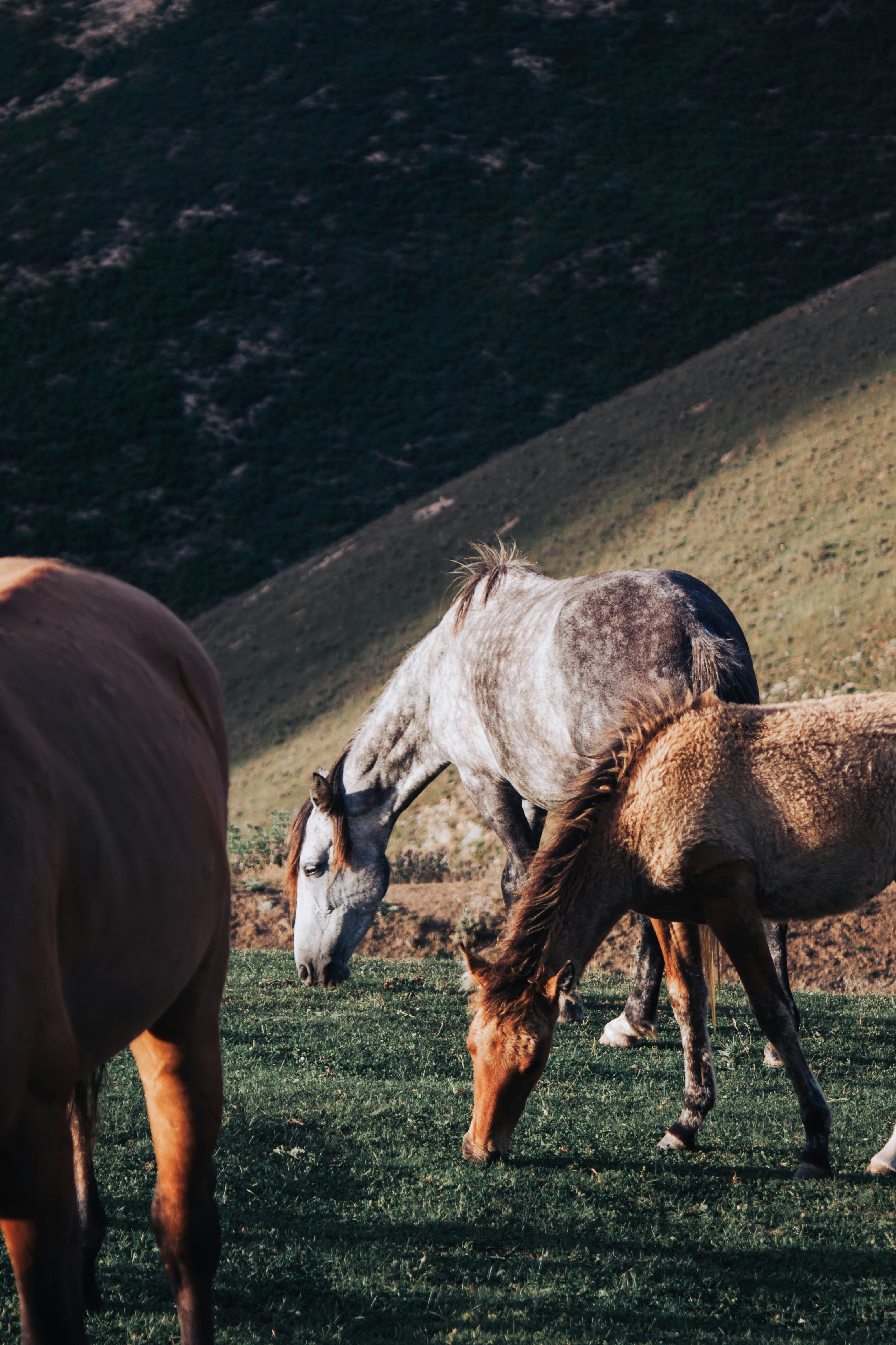 Photo by hossein8728