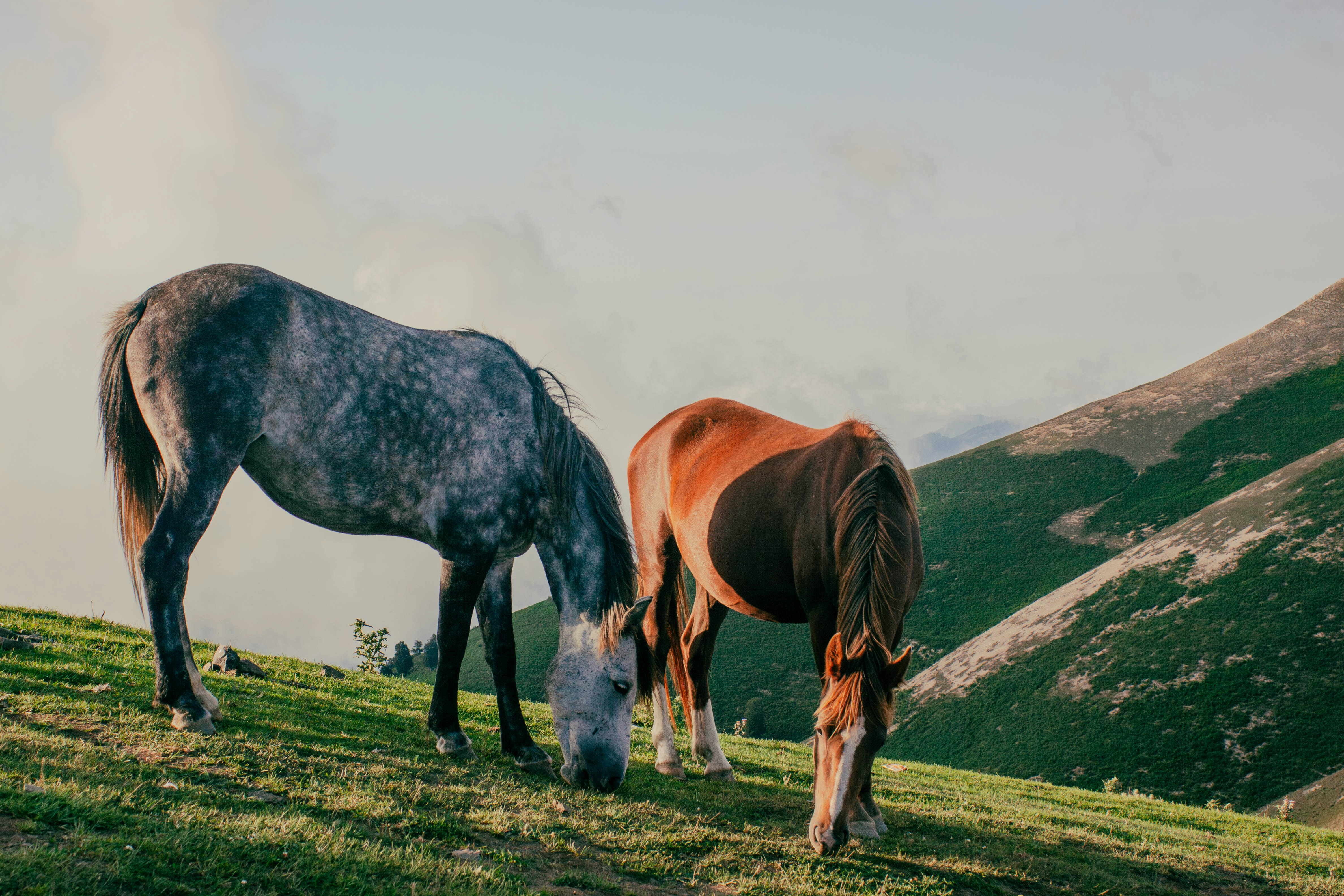 Photo by hossein8728