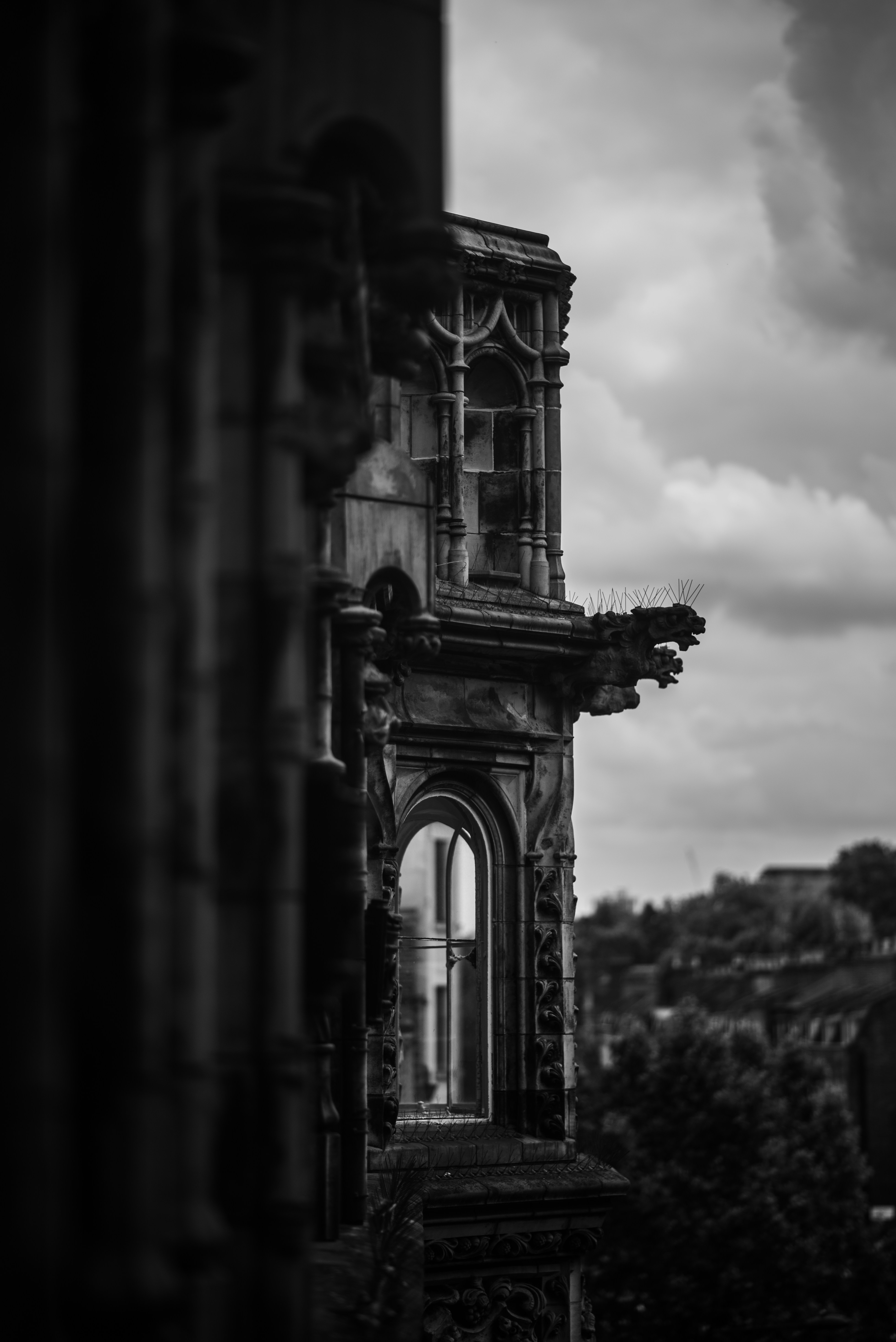 Photo by tochilko