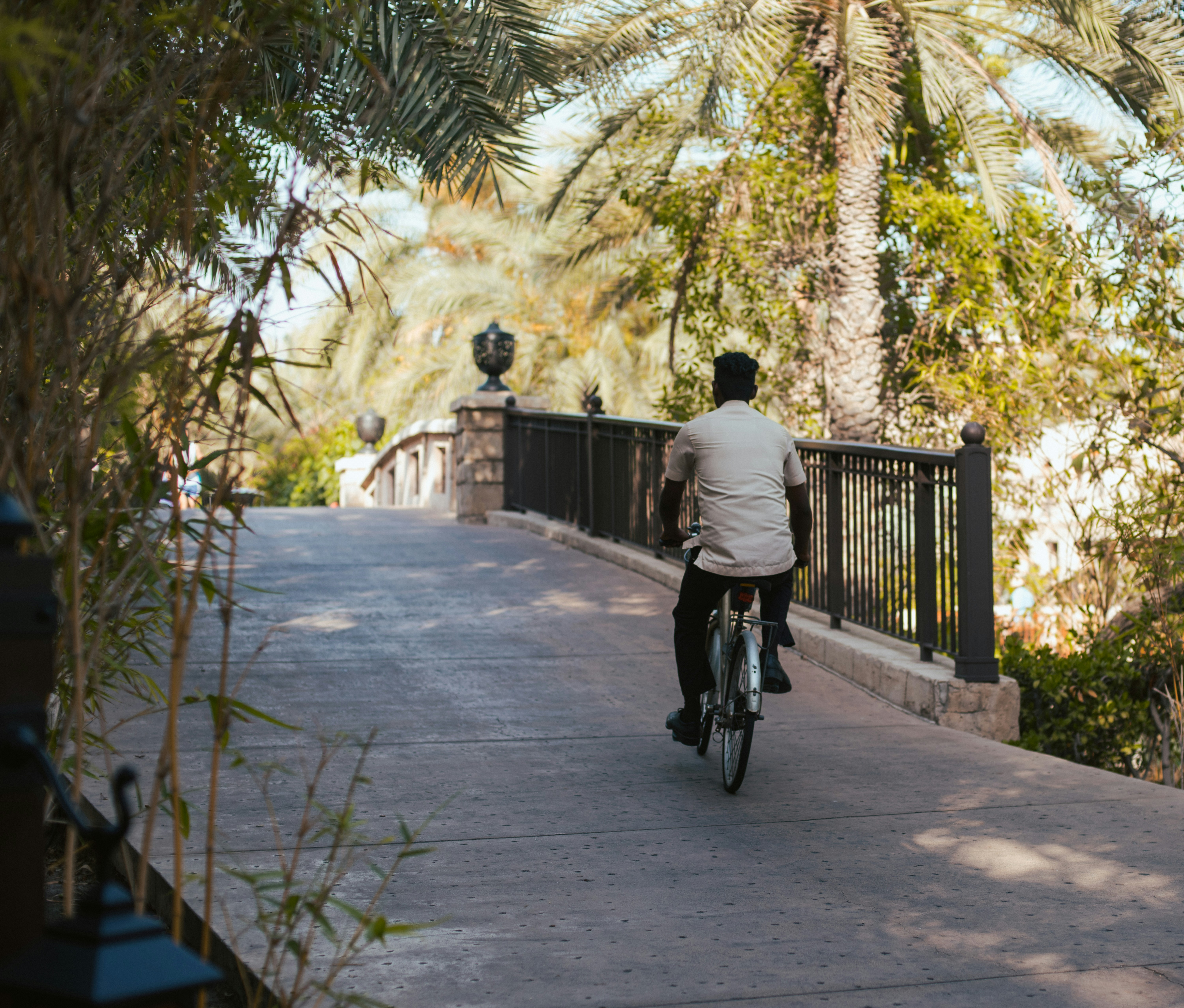 Sund-Promenade: Warum der neue Fahrradweg exakt dort endet, wo die Realität beginnt