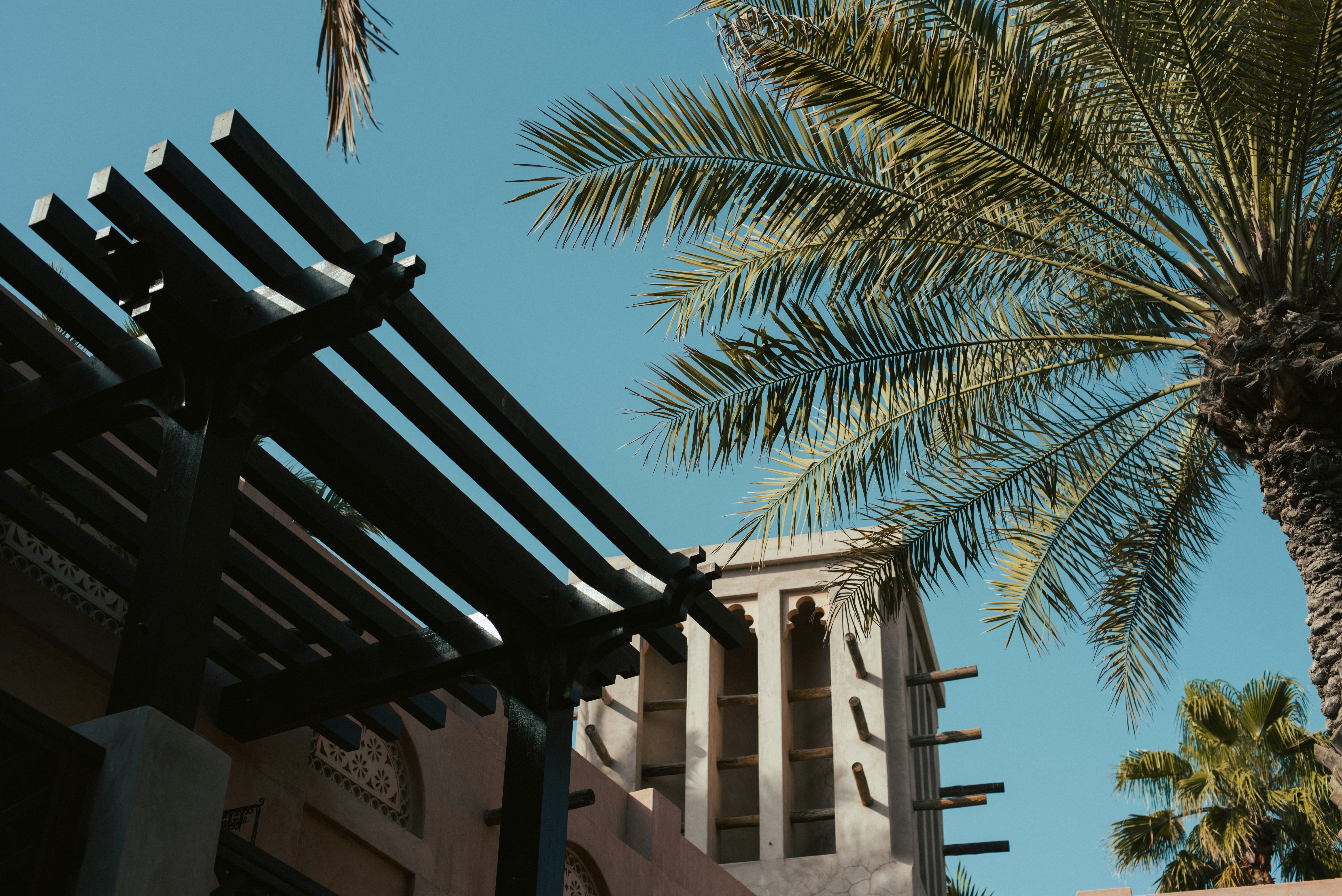 An arabian building is under a palm tree.