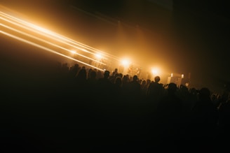 People at a concert are lit by stage lights.