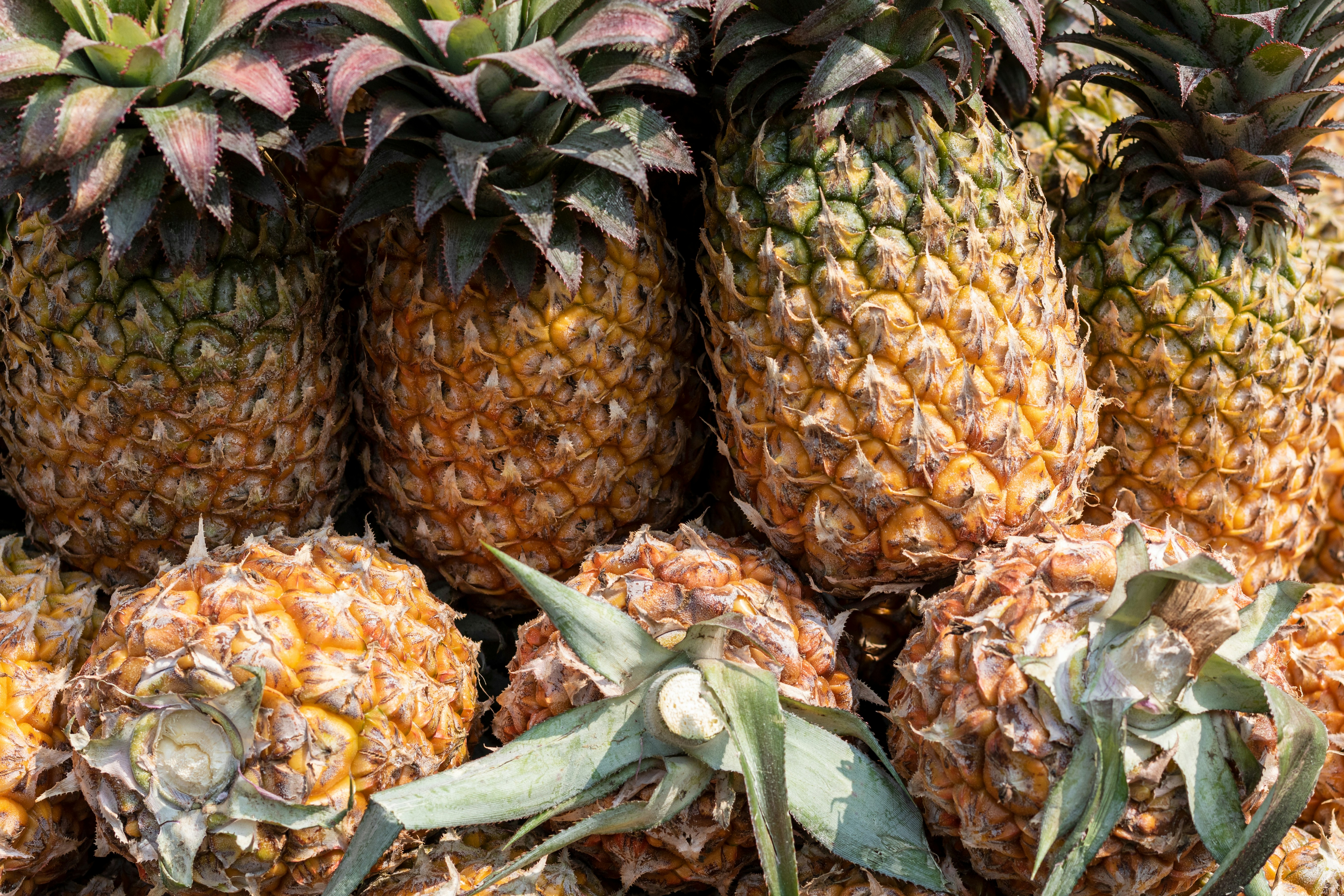 Photo by 5milliseconds