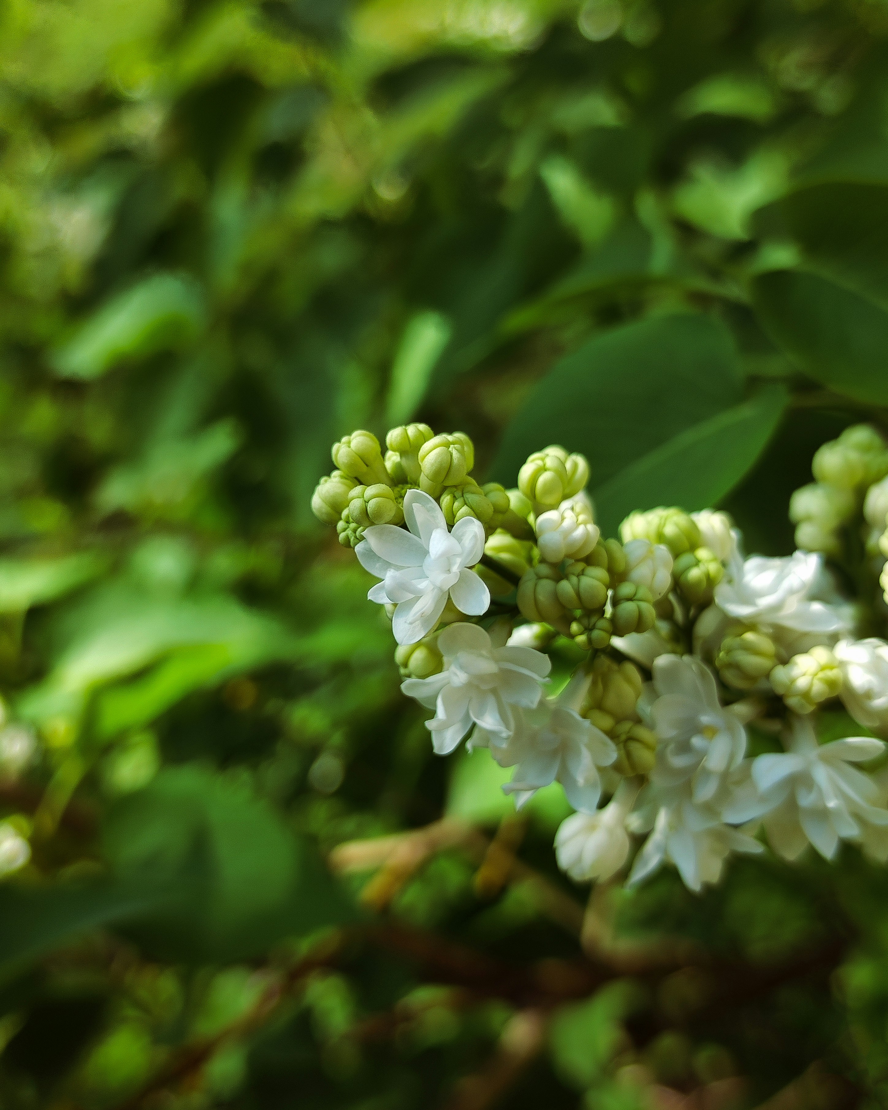 Photo by aleksandarkyng