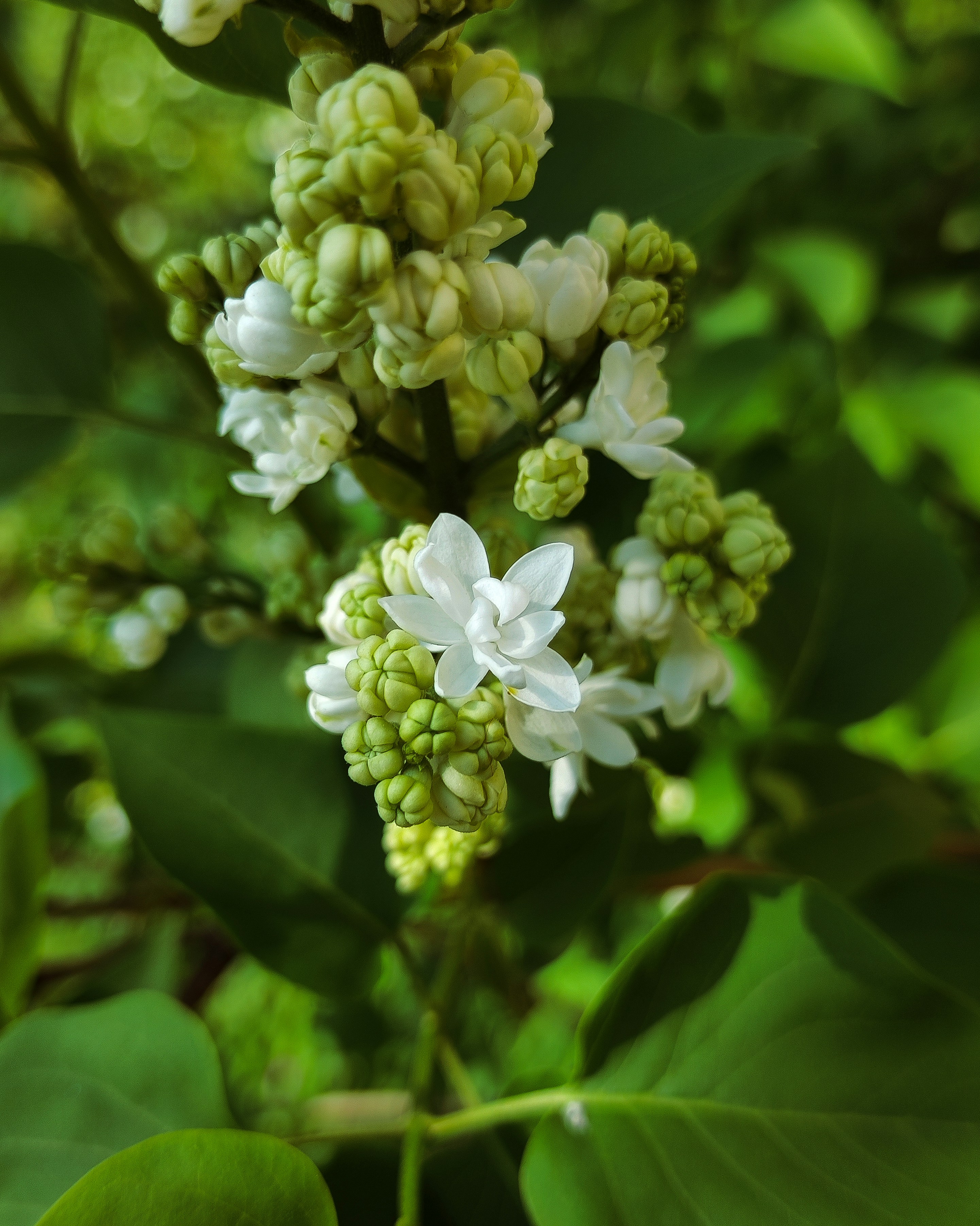 Photo by aleksandarkyng