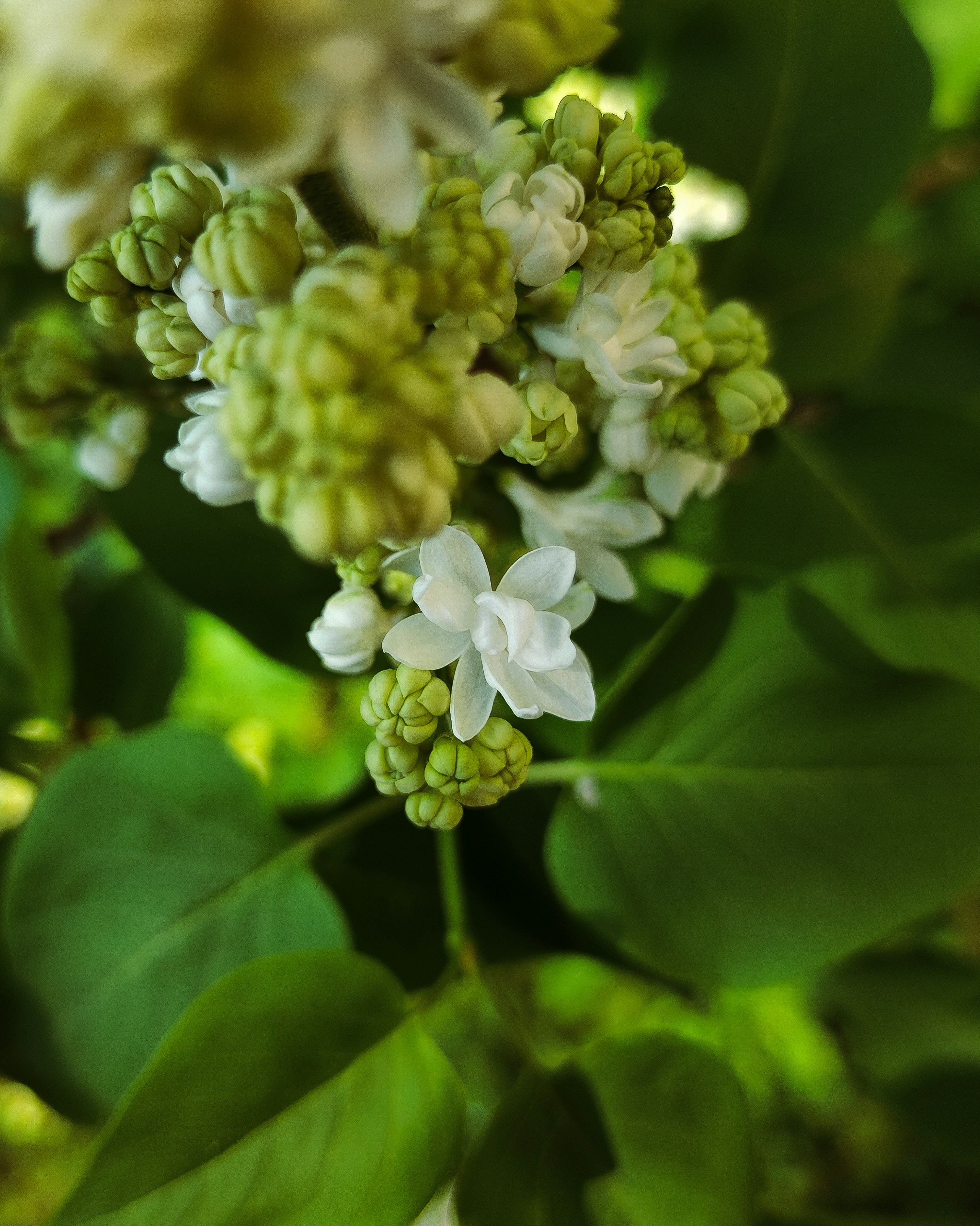 Photo by aleksandarkyng