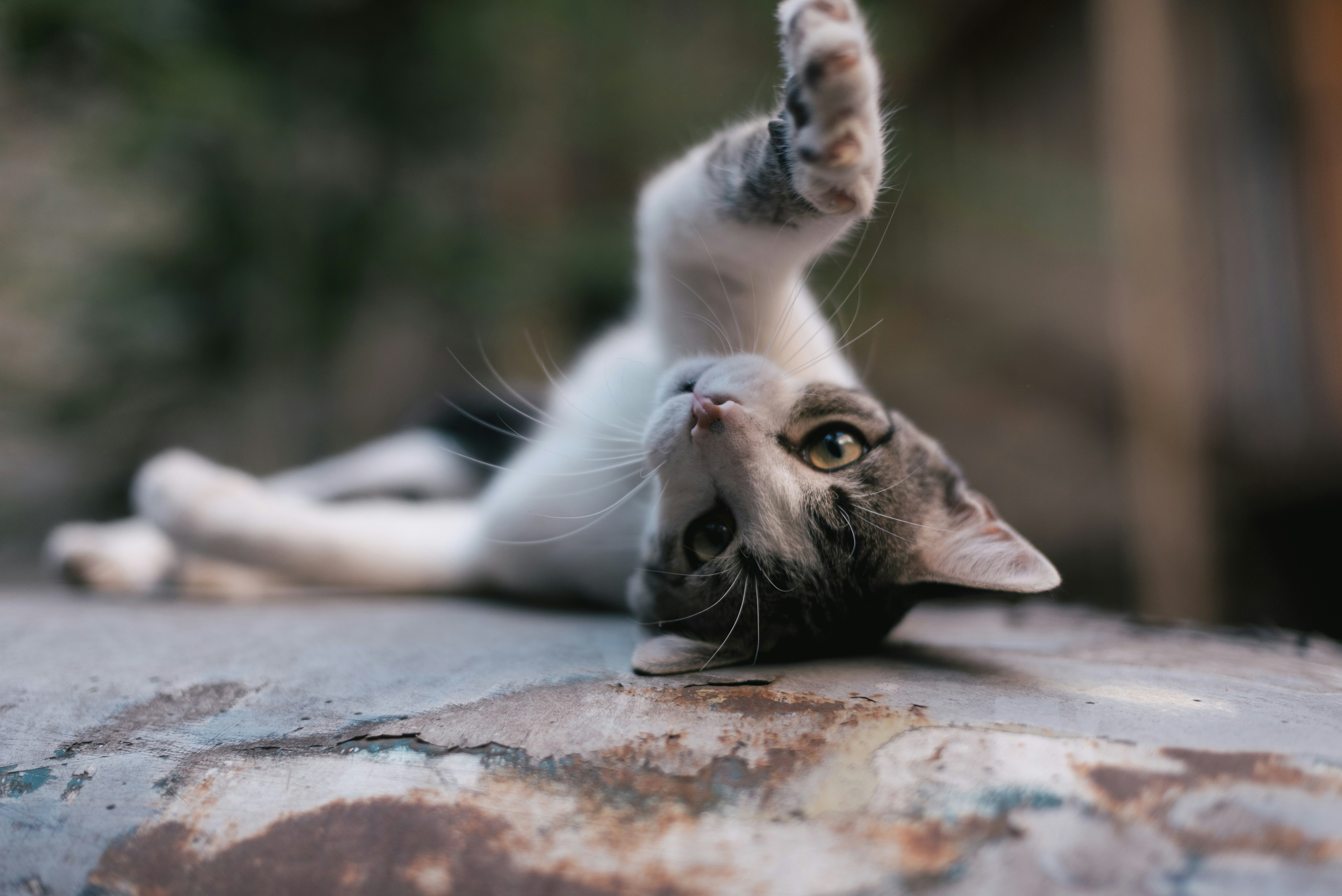 Inviting Playtime (image credits: unsplash)