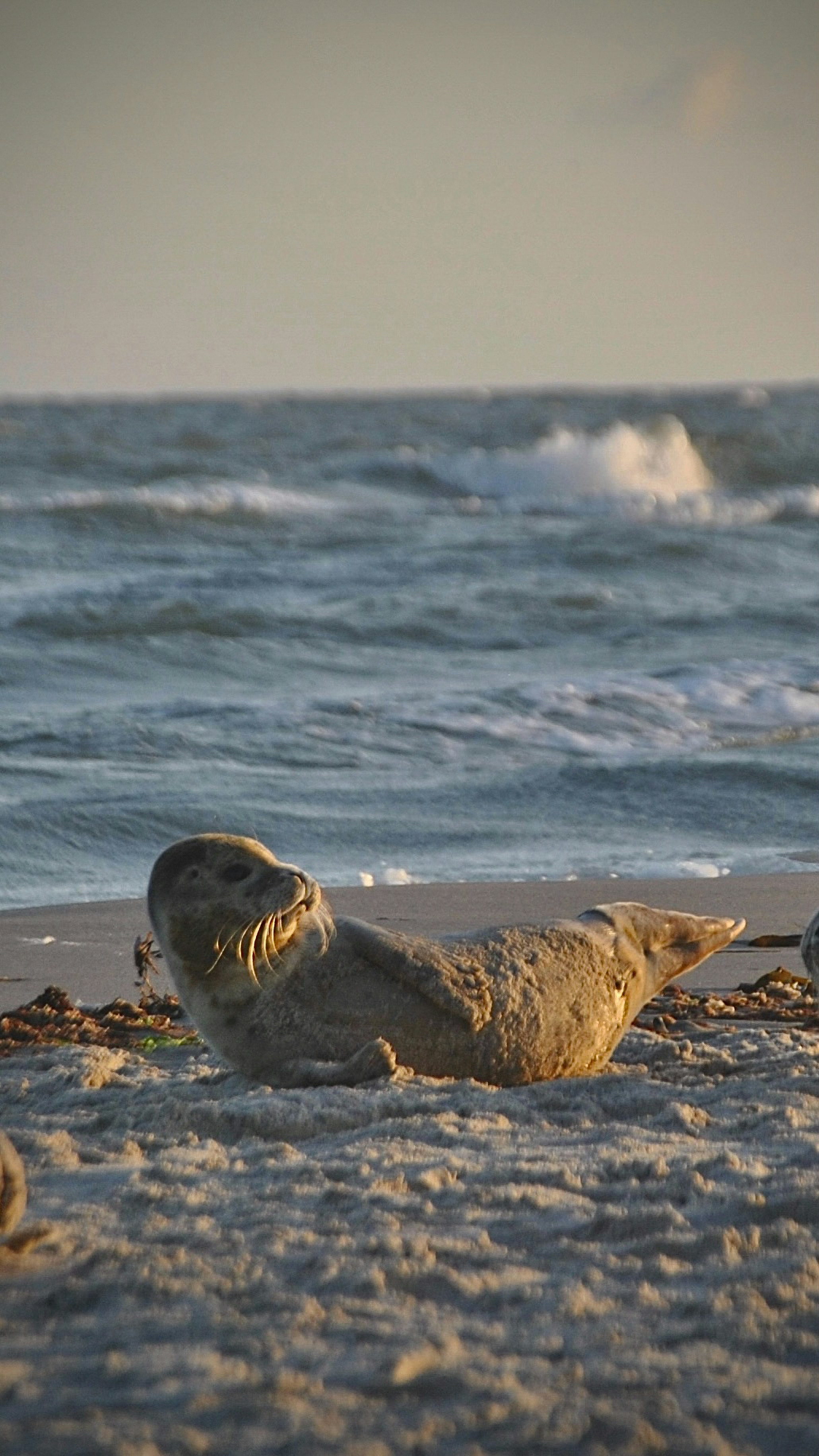 Photo by tommasodelton