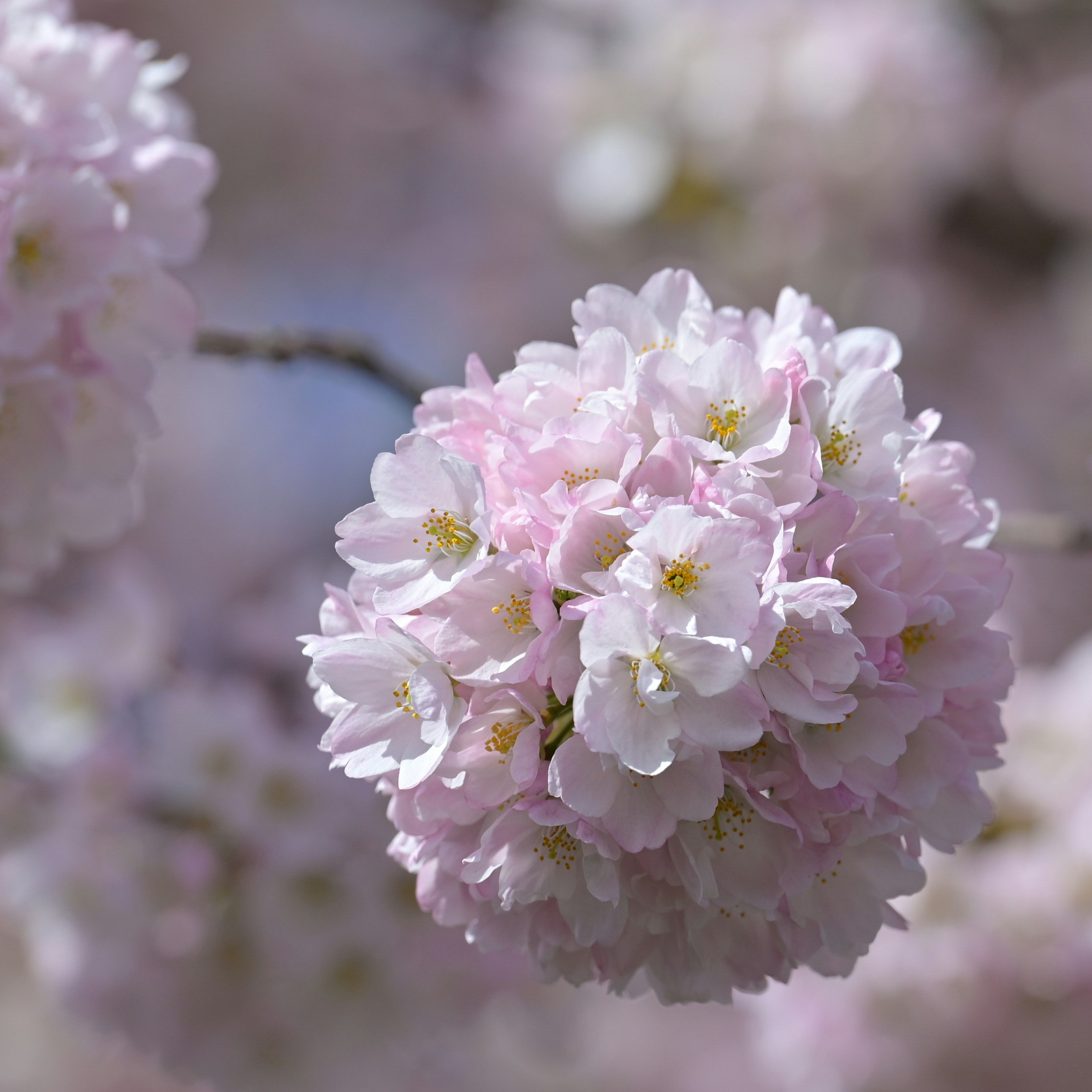 Photo by jonathankslim