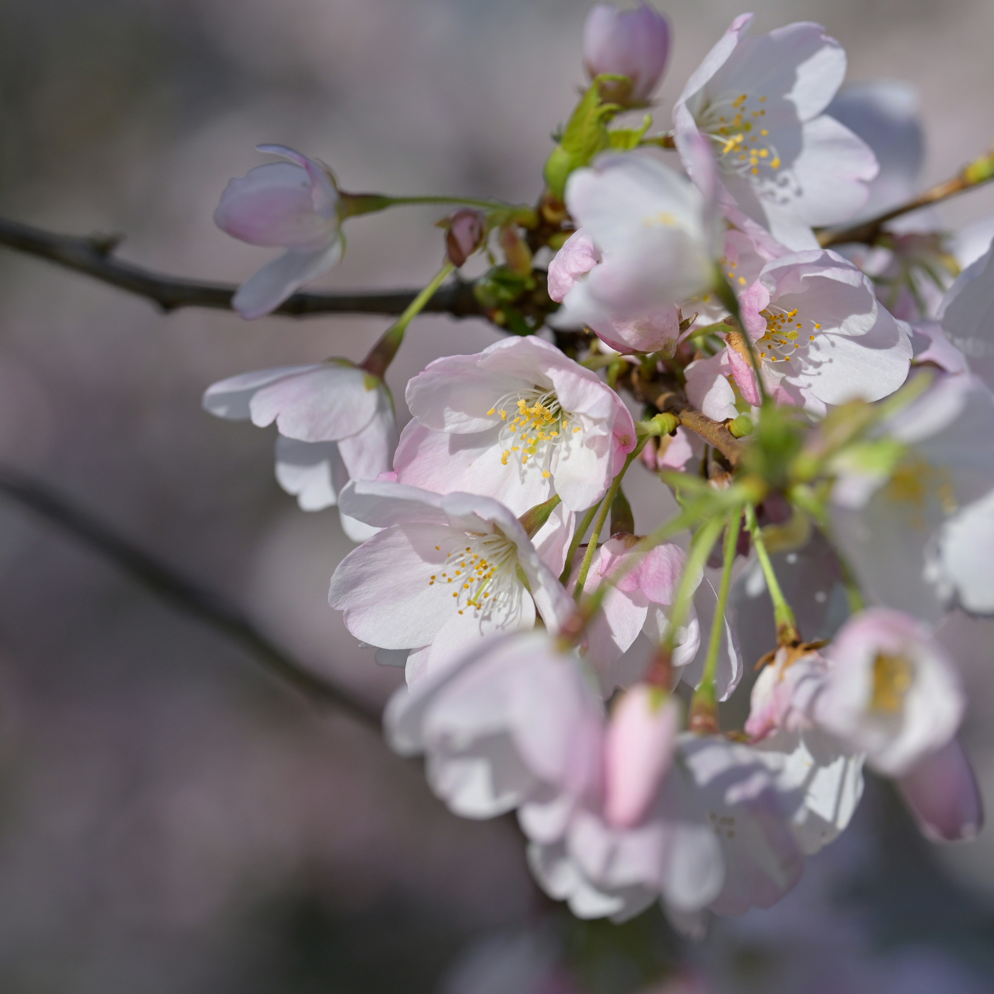 Photo by jonathankslim