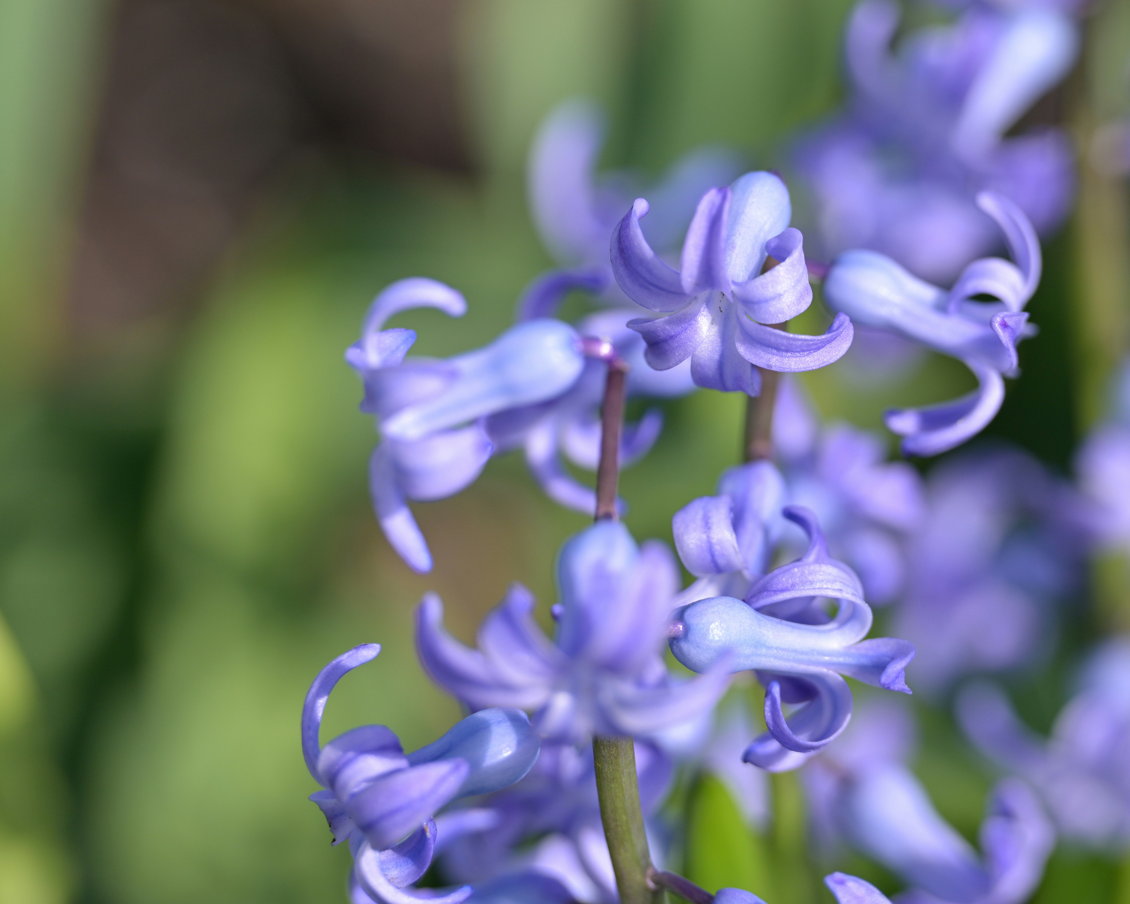 Photo by jonathankslim