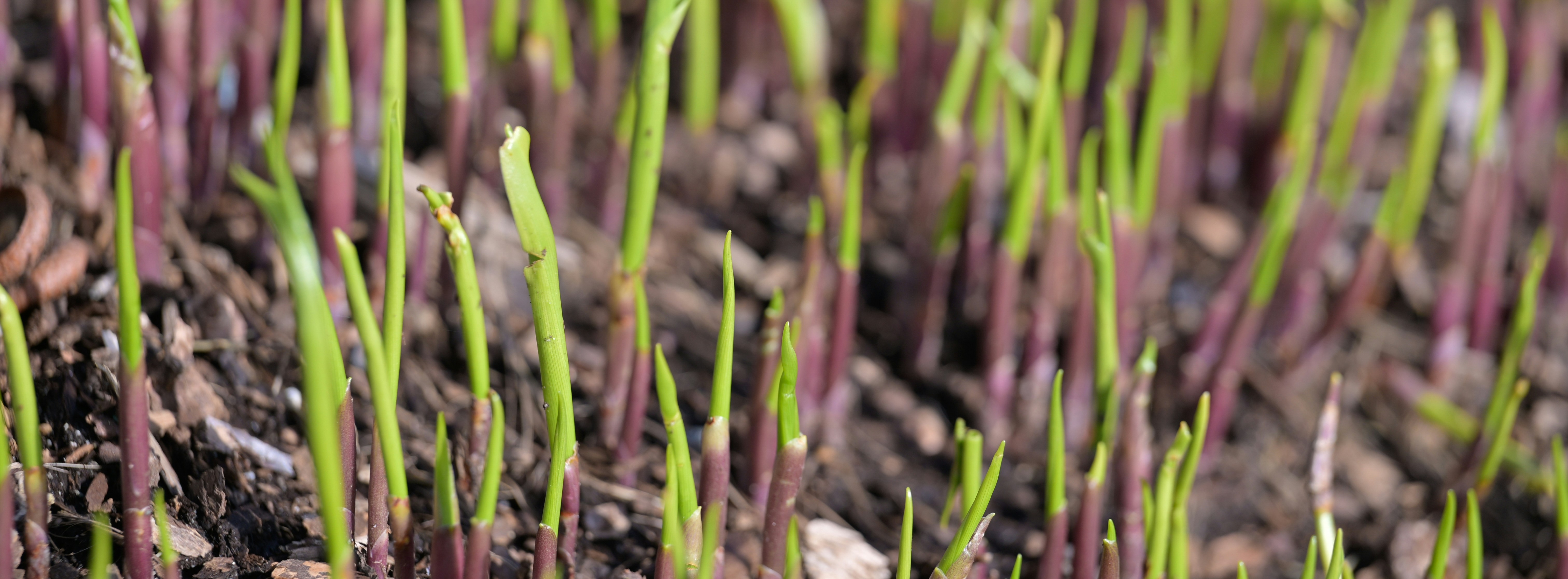 Photo by jonathankslim