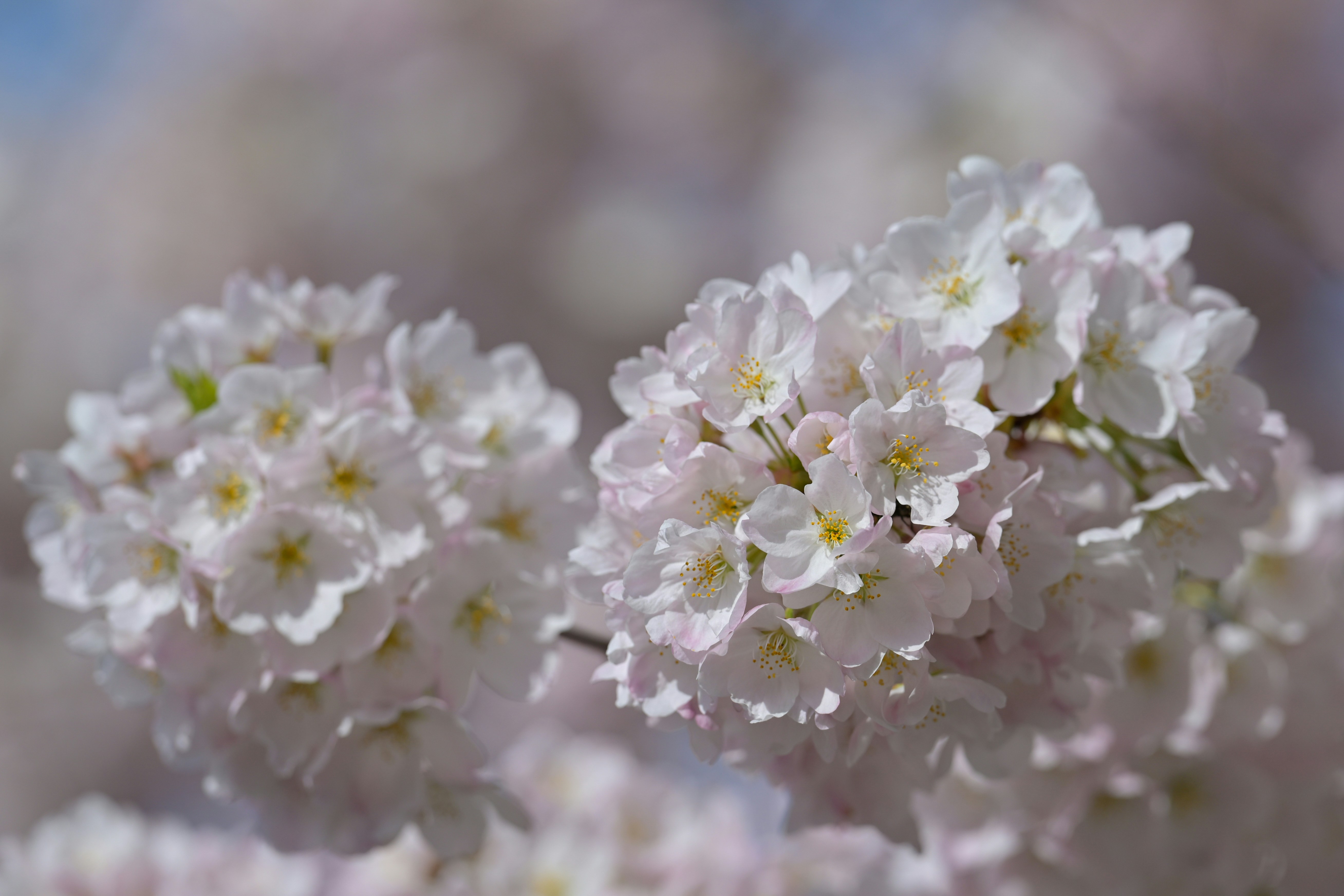 Photo by jonathankslim