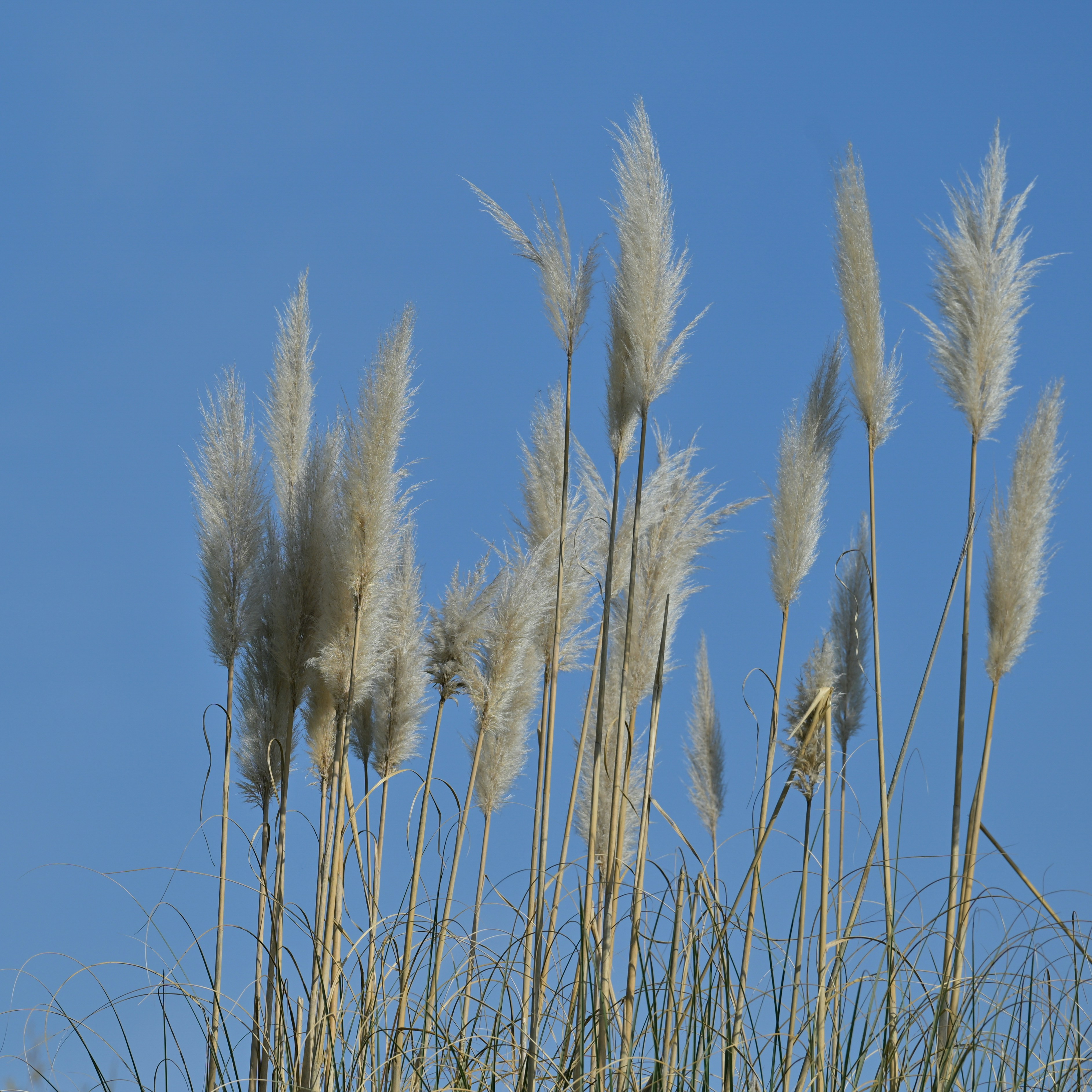 Photo by jonathankslim