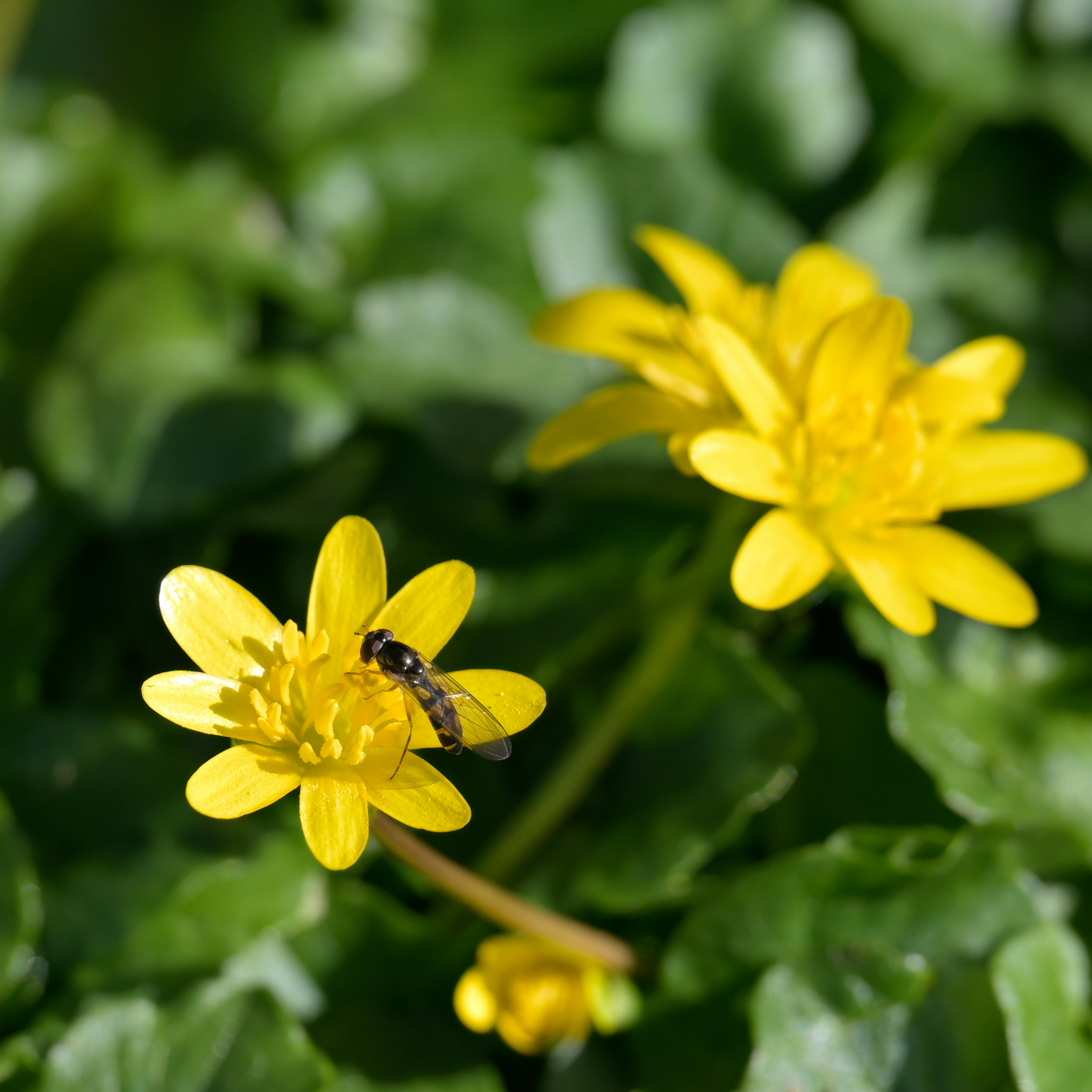 Photo by jonathankslim