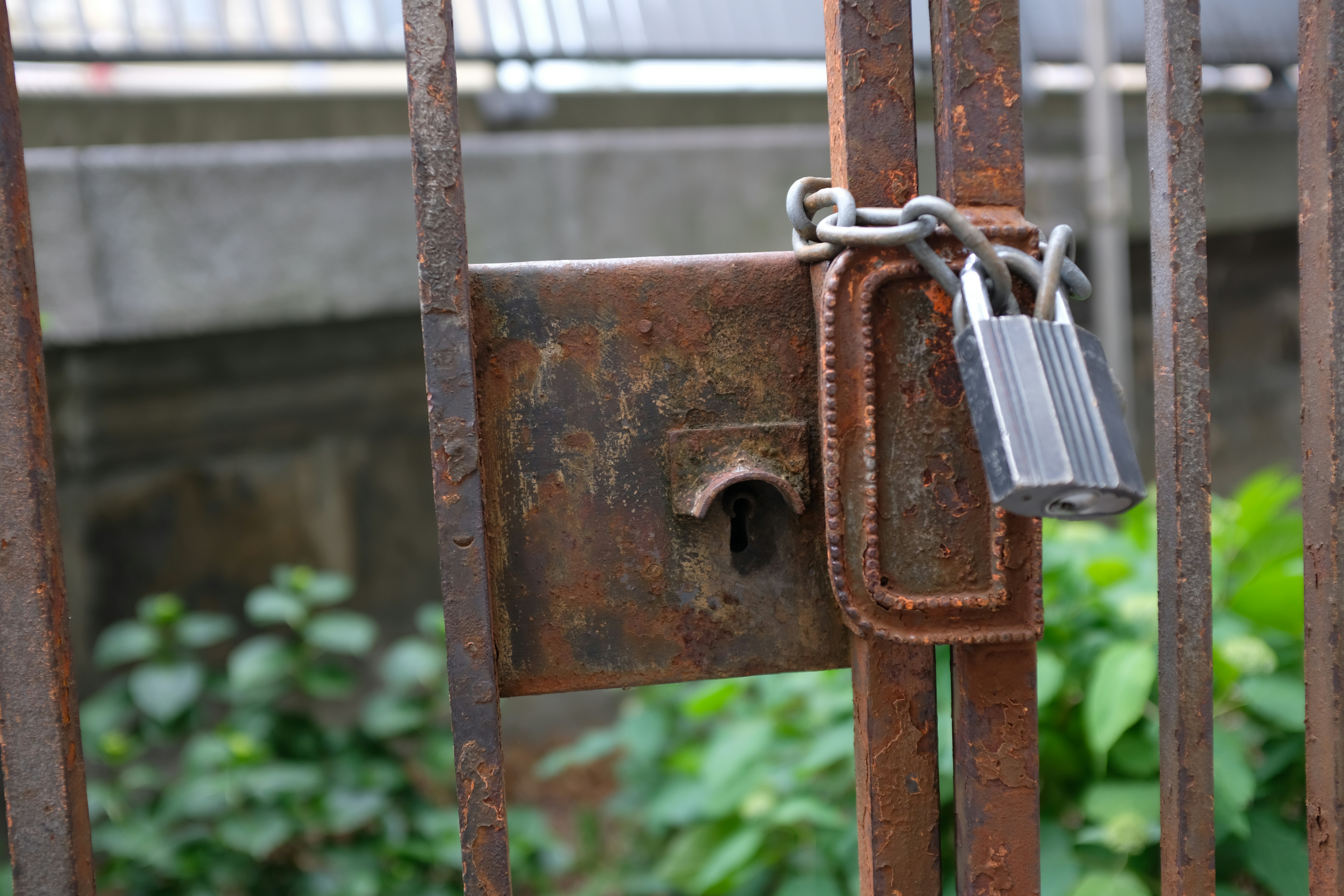 Photo by william_ducret