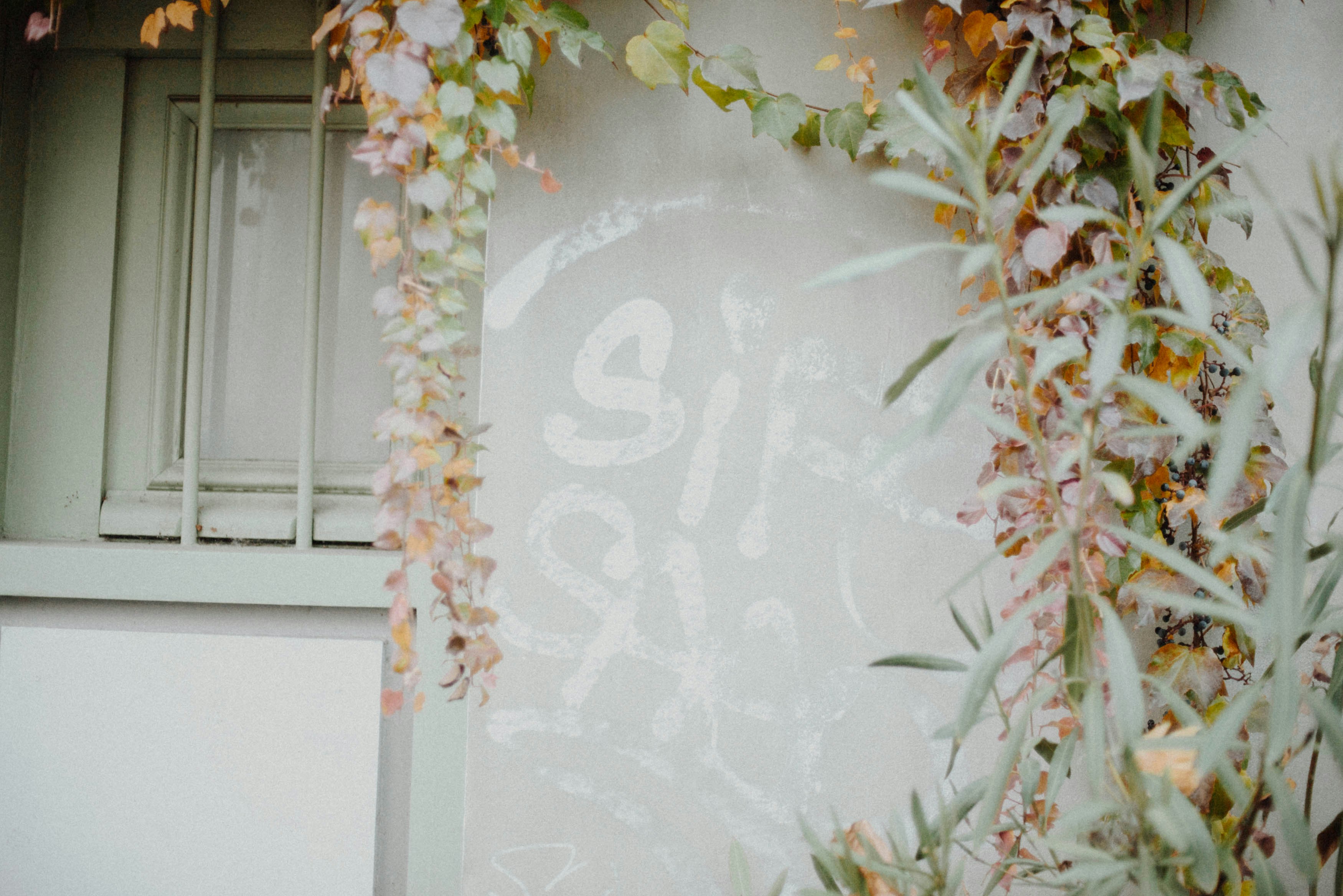 Flowers and vines decorate a wall with a window.