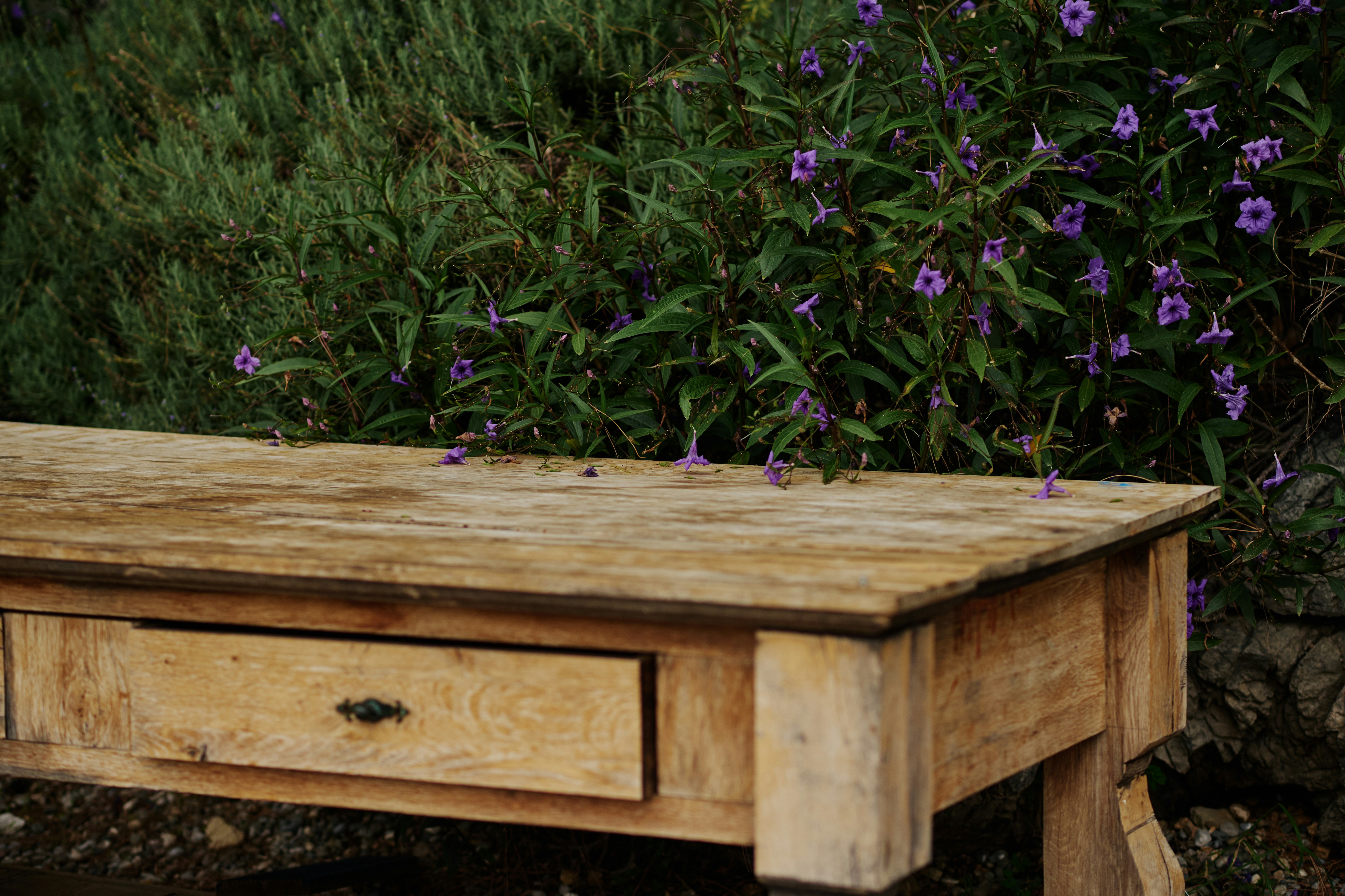 A weathered wooden table sits in a garden.