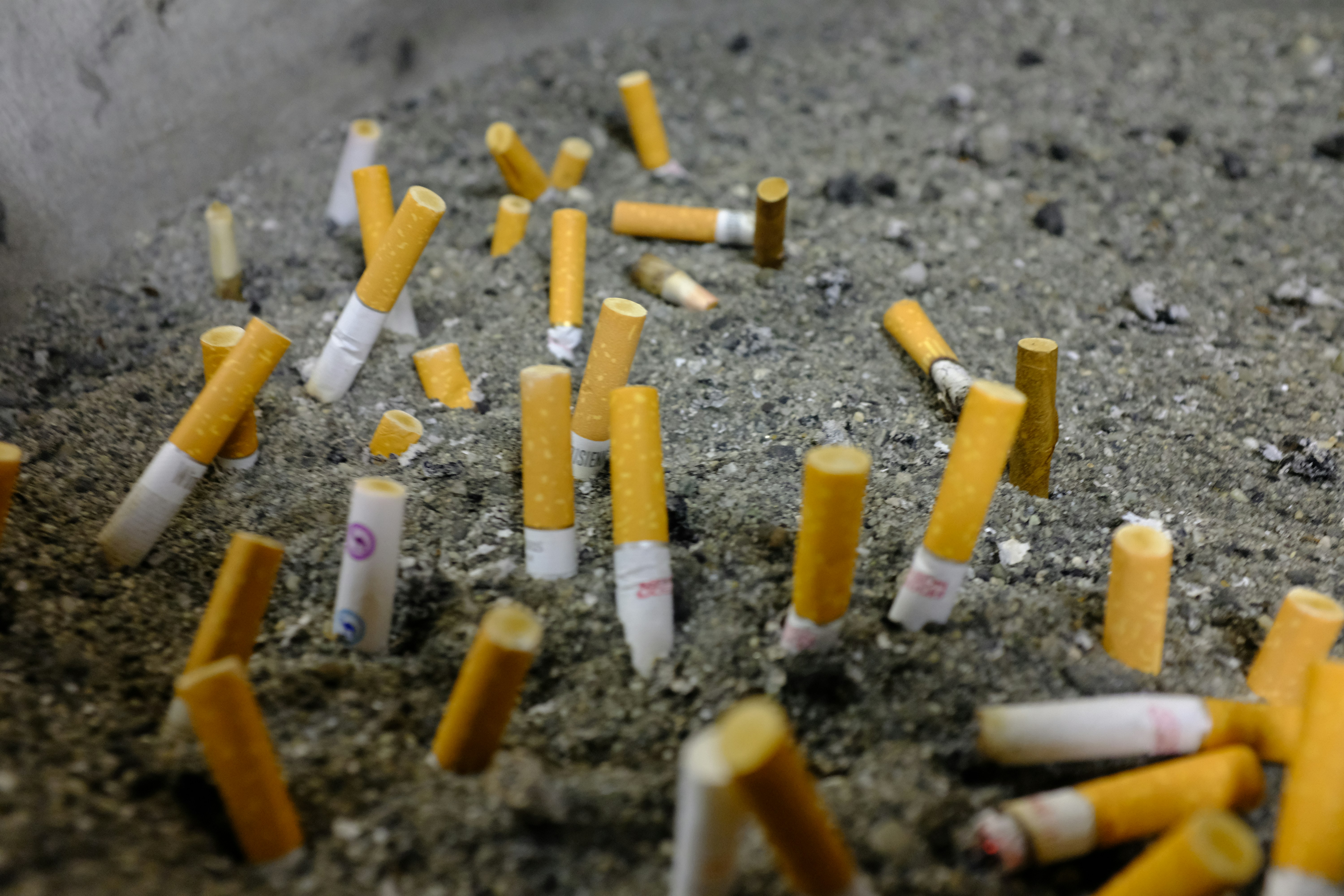 Photo by william_ducret