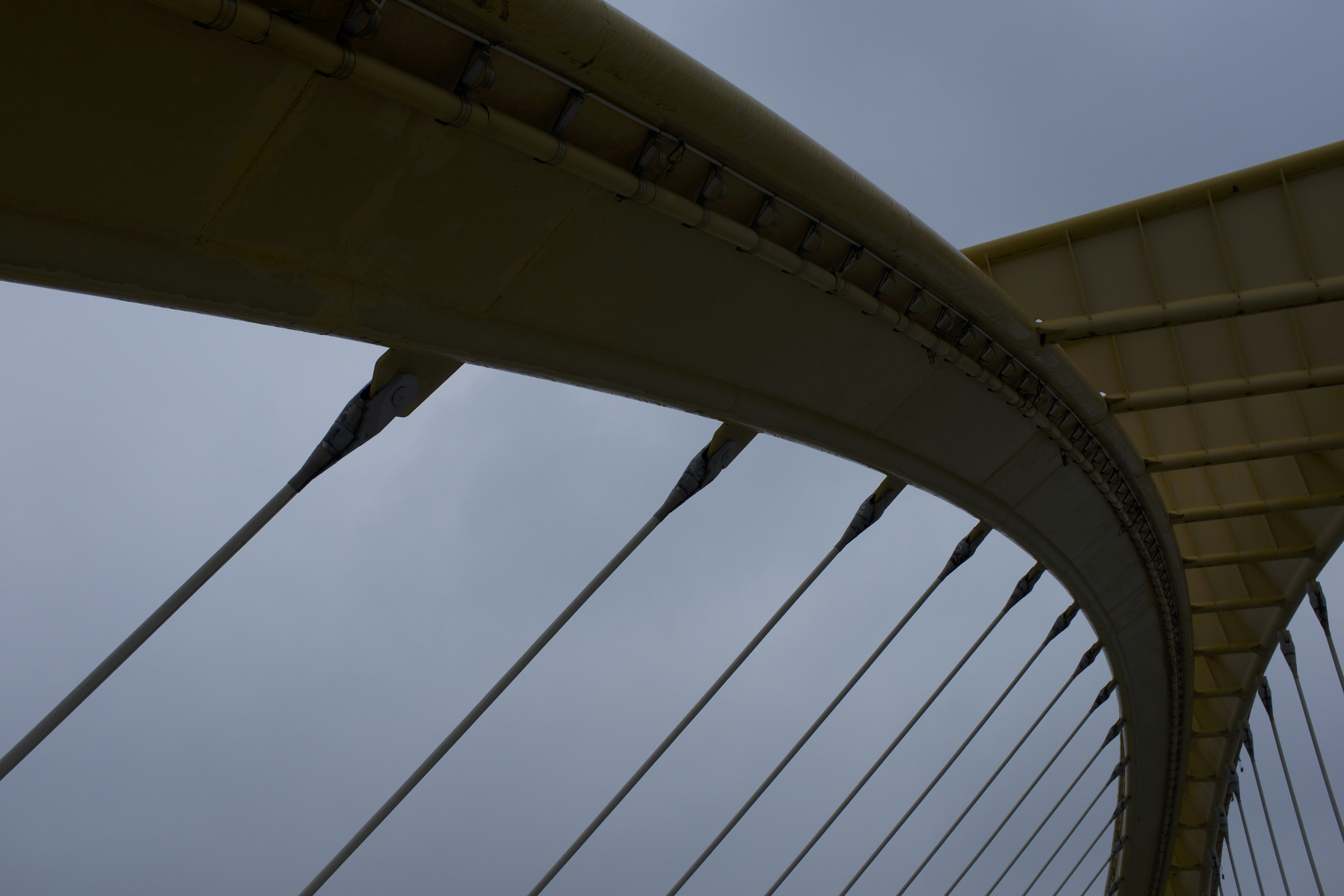 Photo by william_ducret