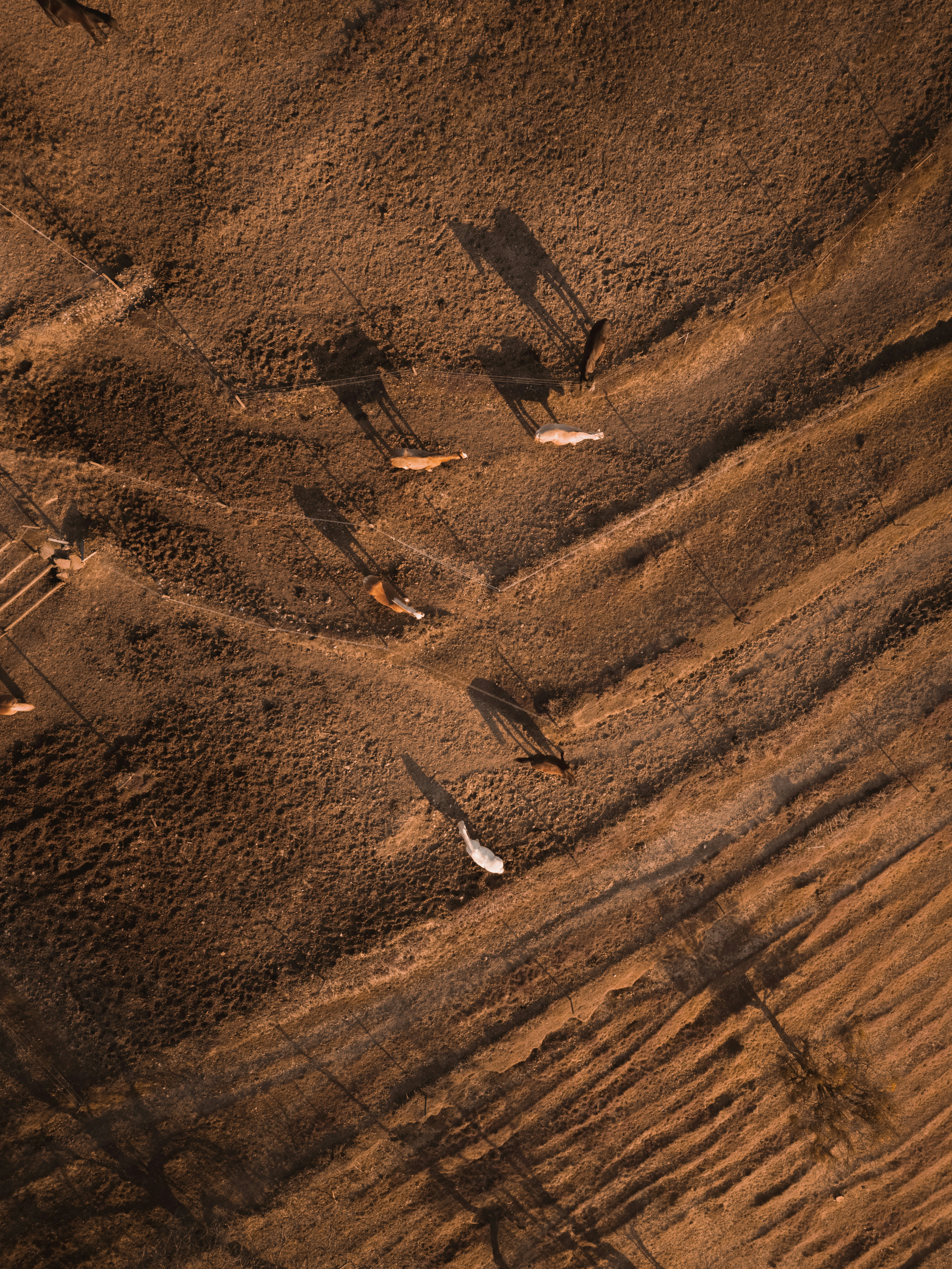 Photo by ahmetyuksek