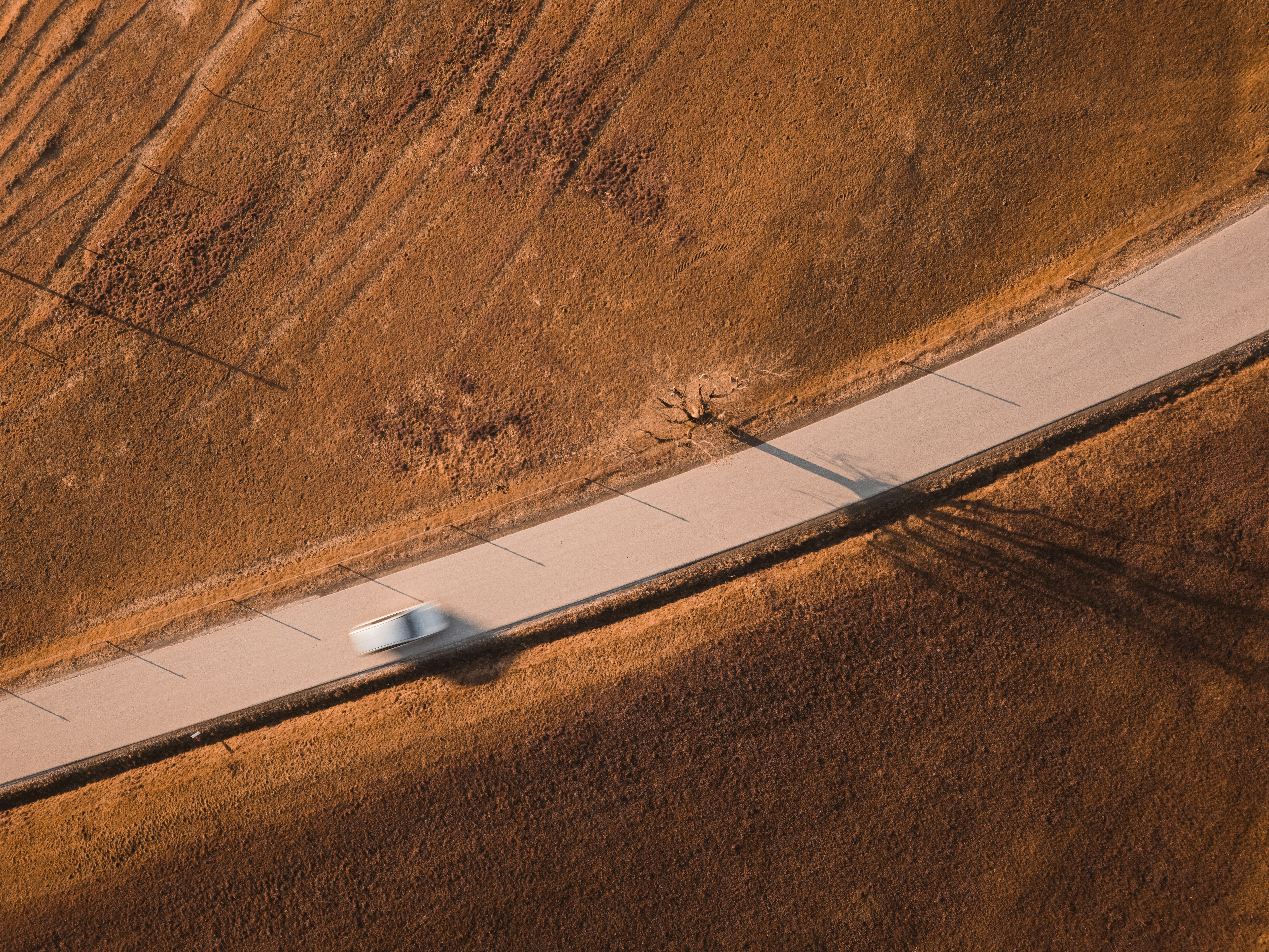 Reasons Women Strippers Provide Exceptional Home Entertainment For Any Occasion