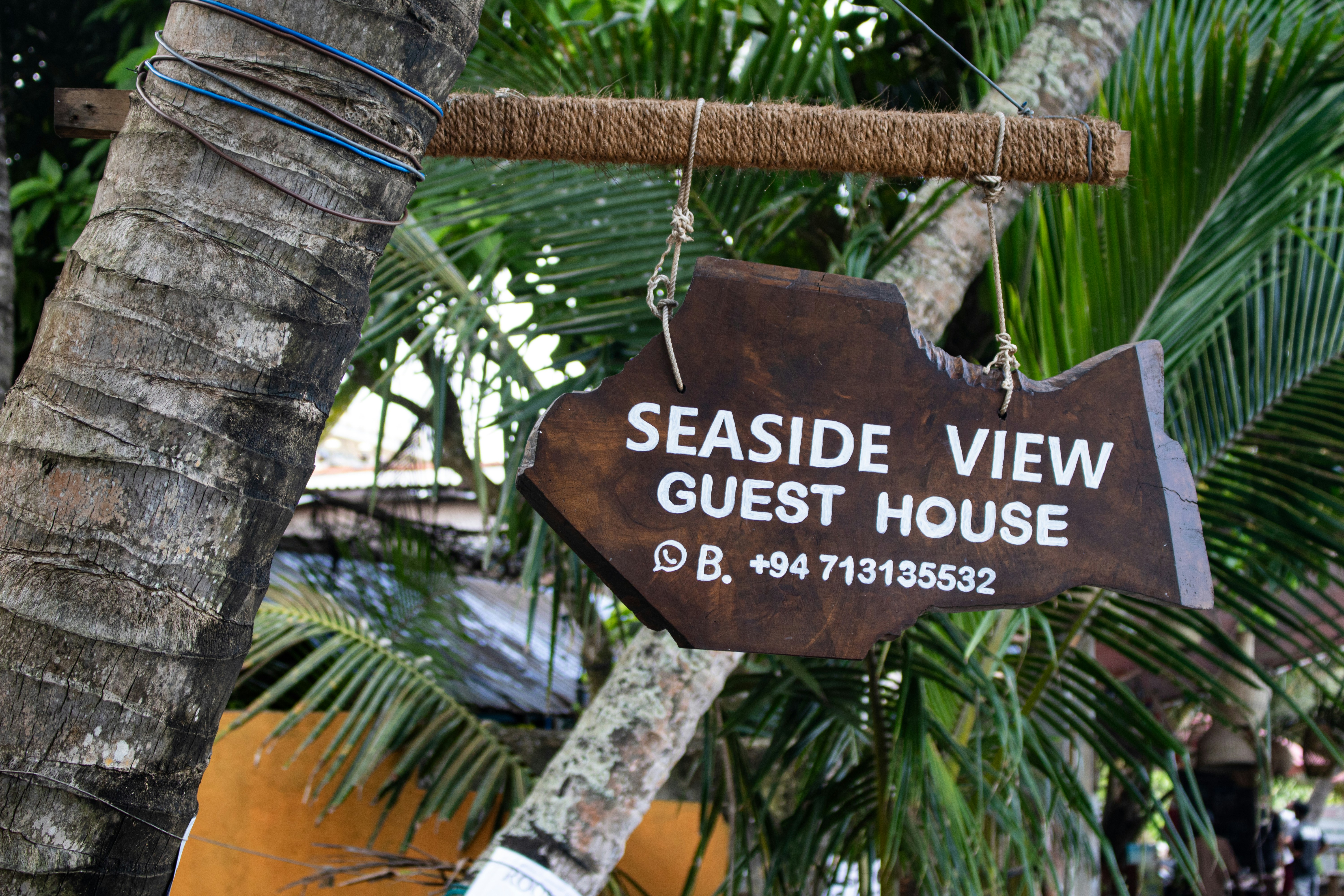 Sign for "seaside view guest house" hanging on a tree.