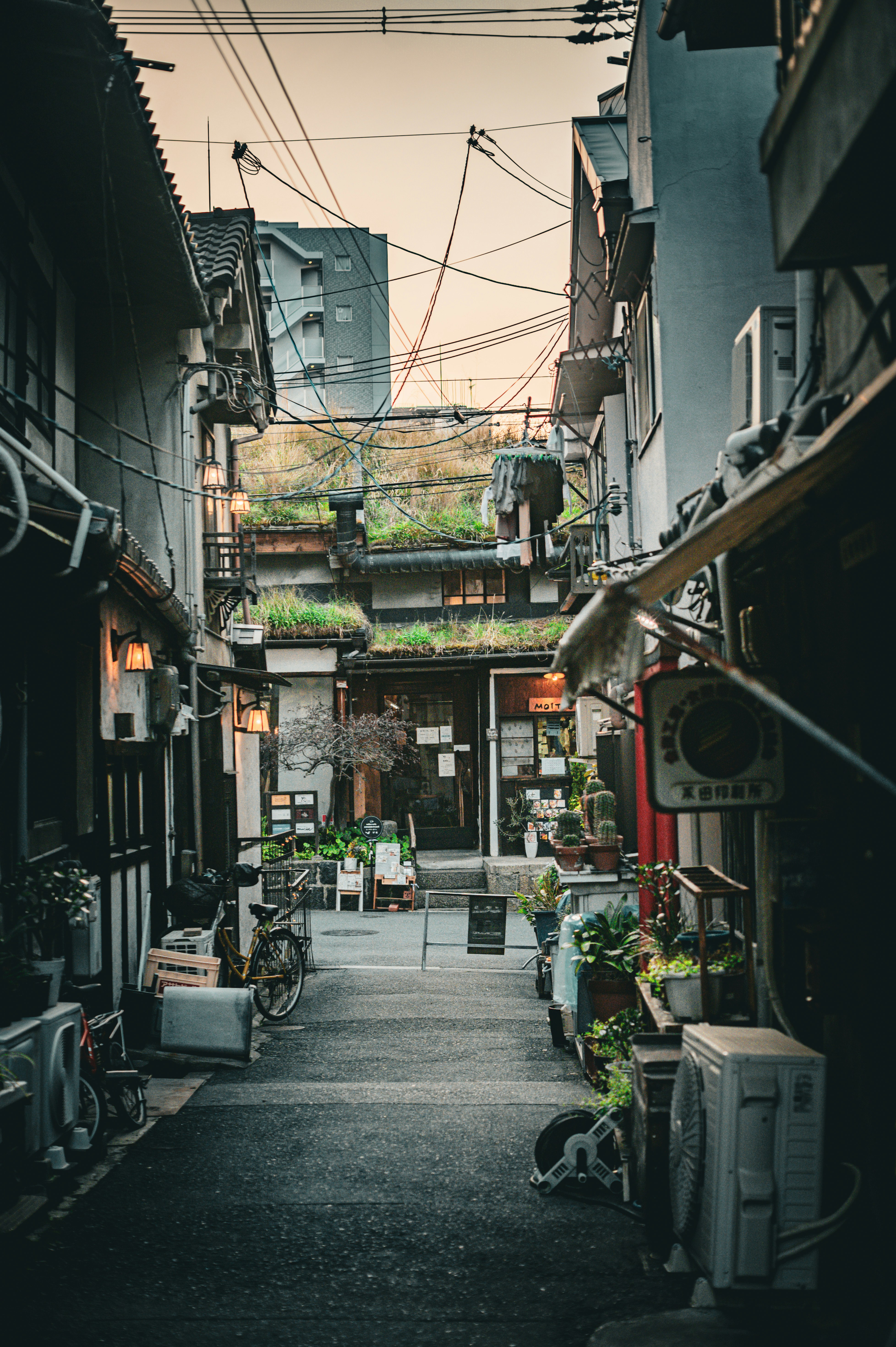 일본 오사카 가볼만한곳 관련 이미지1