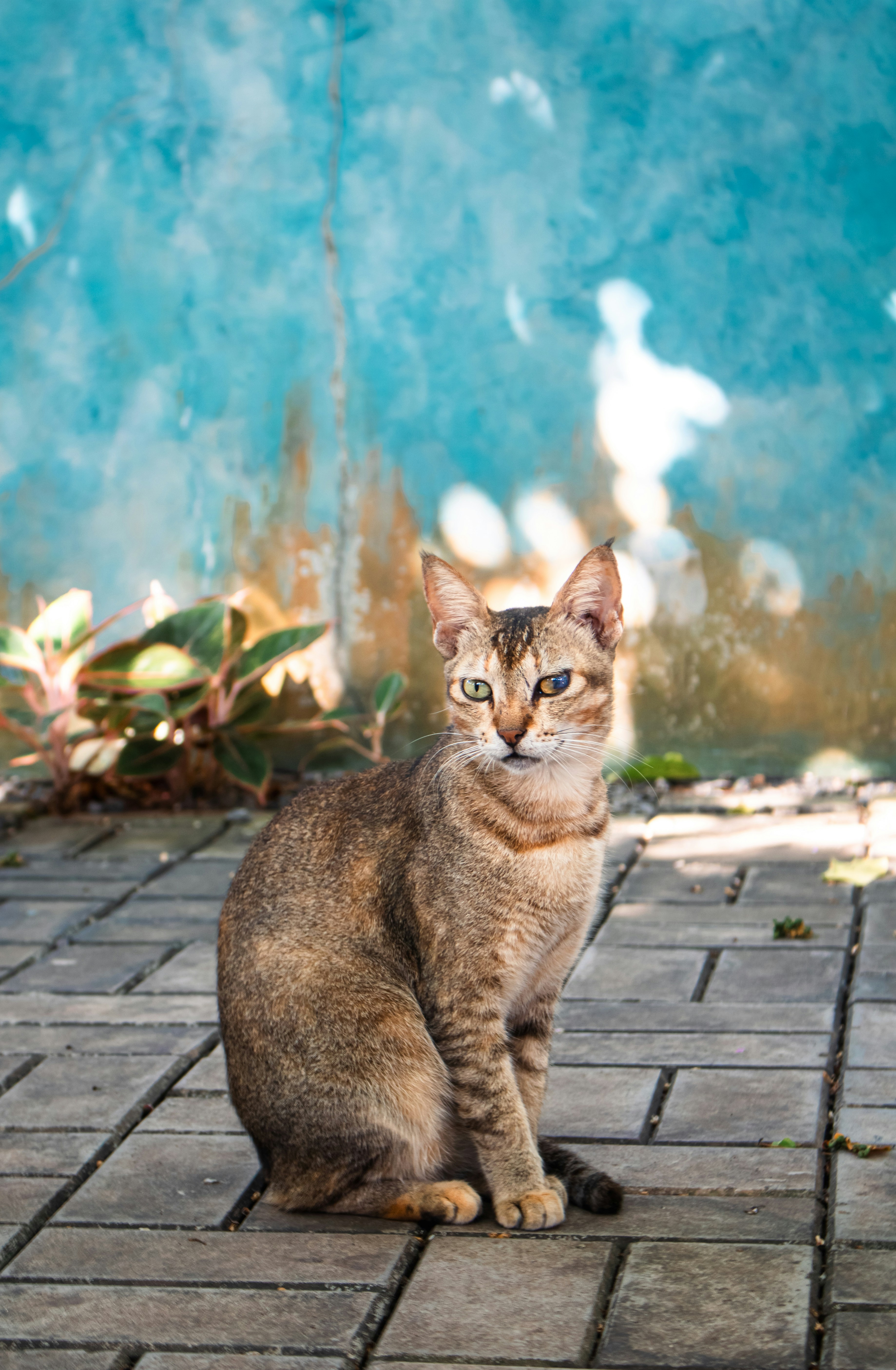 Photo by zoshuacolah