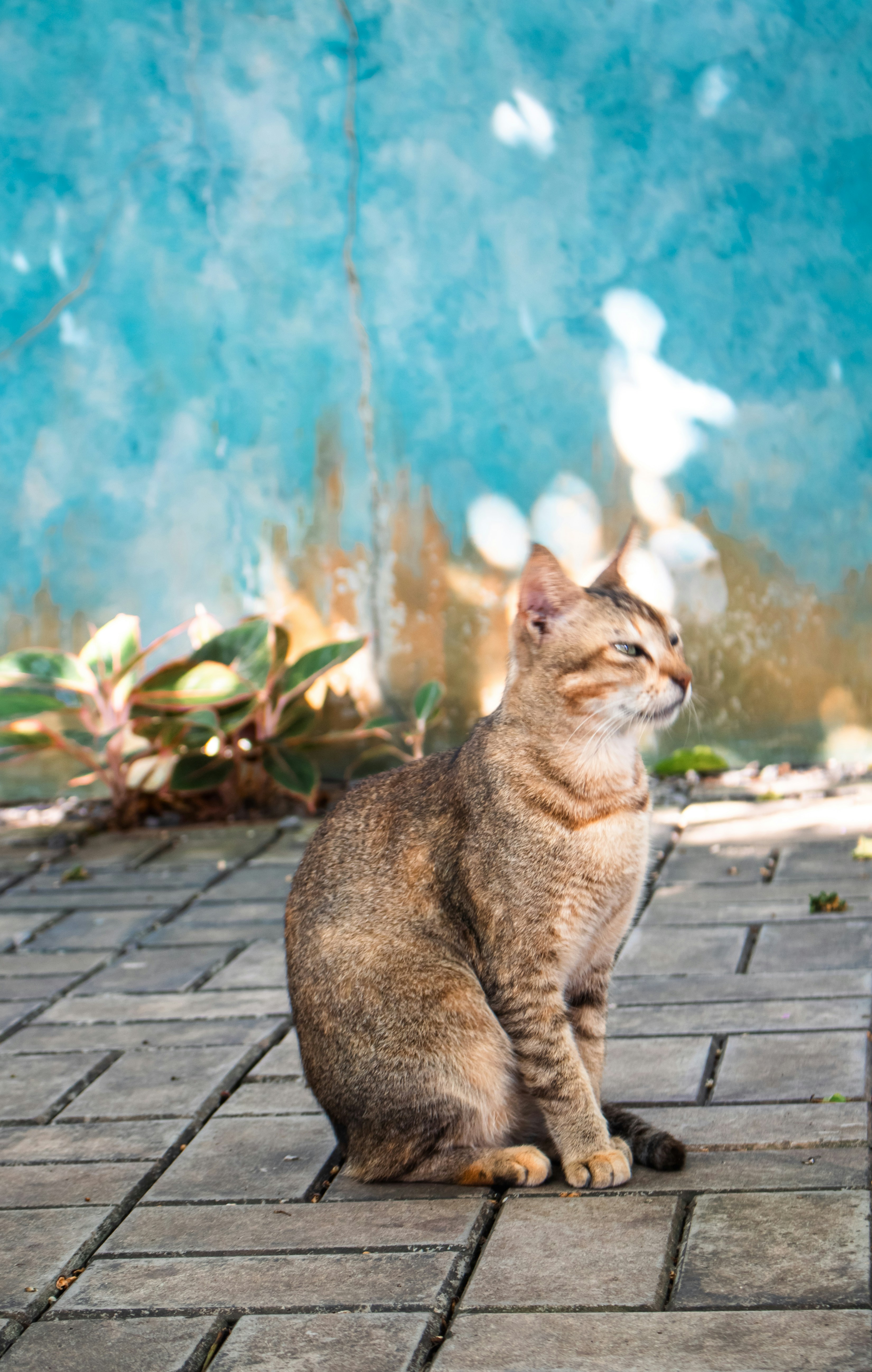 Photo by zoshuacolah