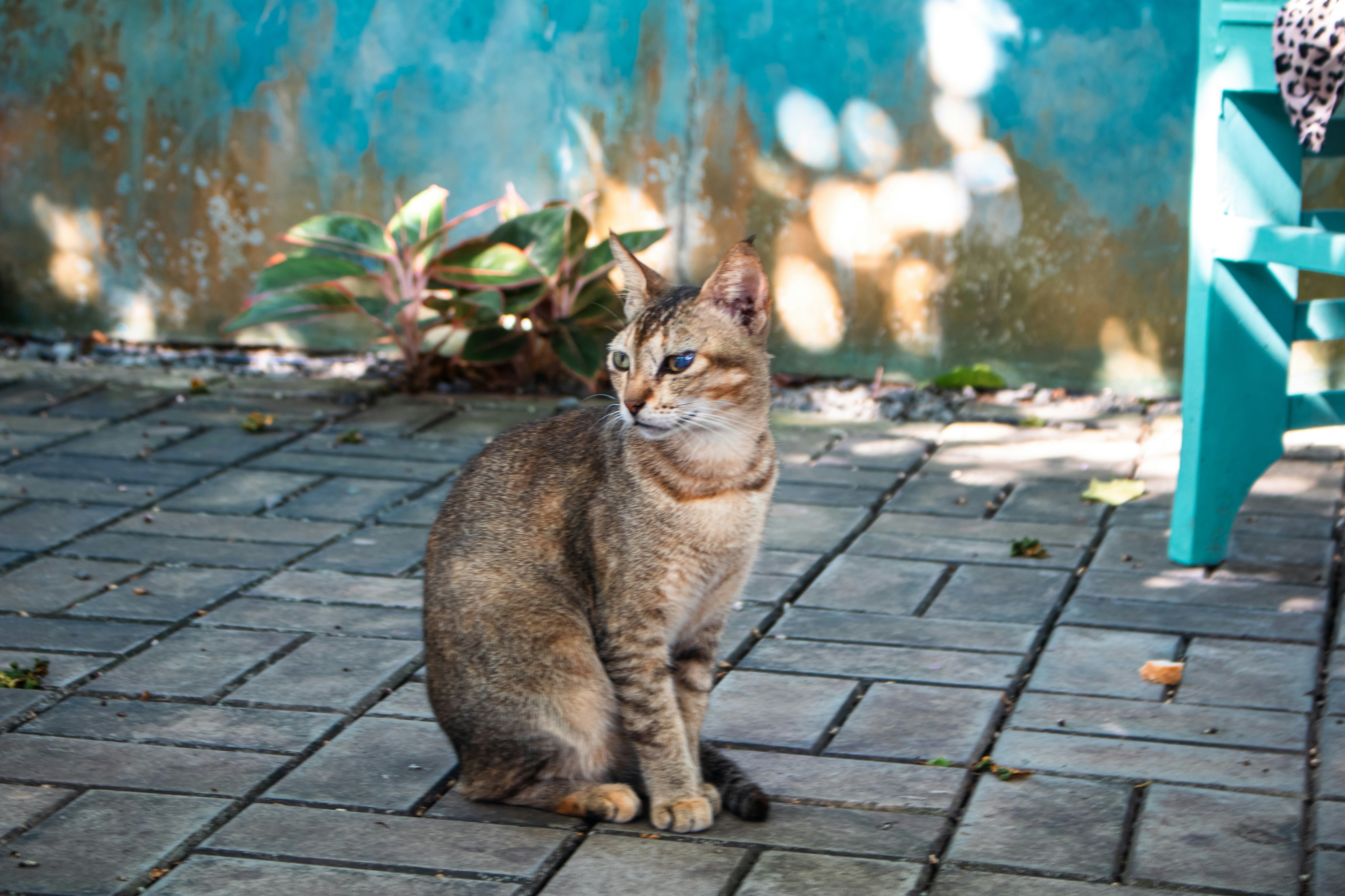 Photo by zoshuacolah