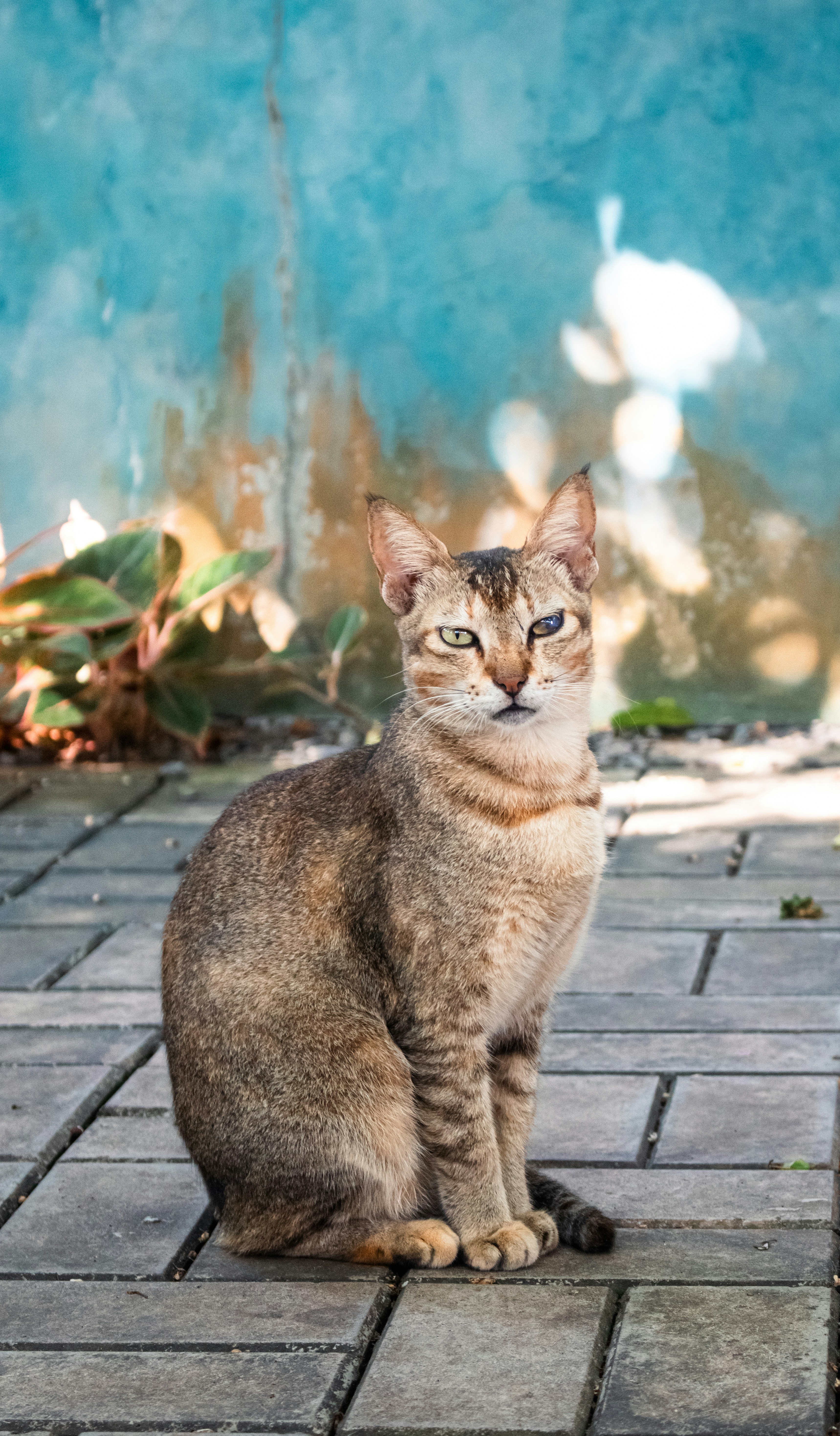 Photo by zoshuacolah