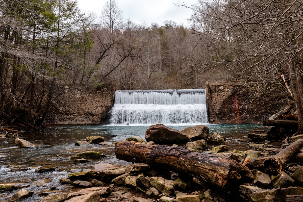 Rustic dam controlling the flow of a forest river